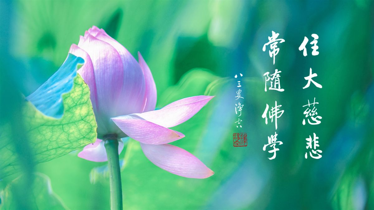 人身太可貴了-第1948集