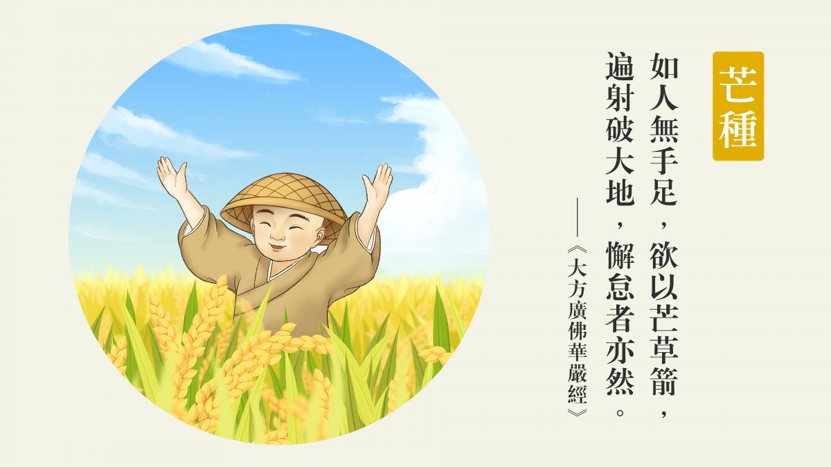若無淨信，如用芒草射箭-全1集