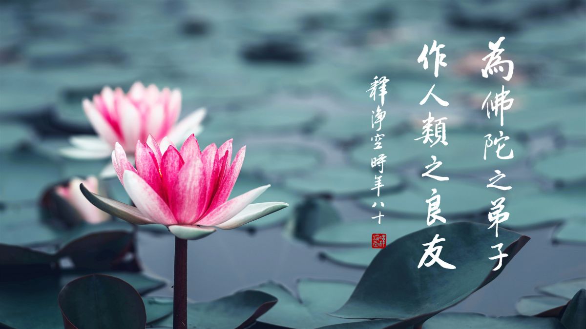 想到自己就要想到別人-第1946集