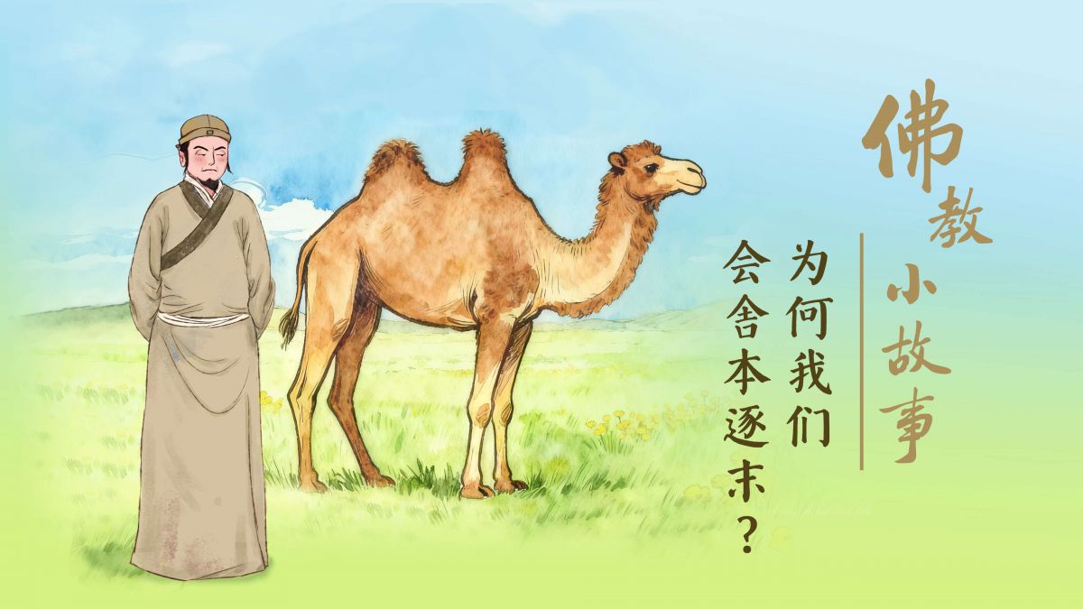 为何我们会舍本逐末？-第229集