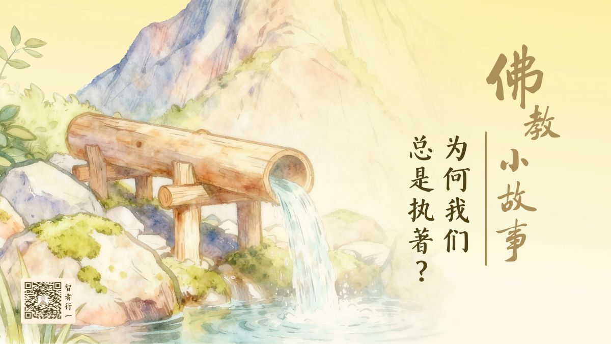 为何我们总是执著？-第228集