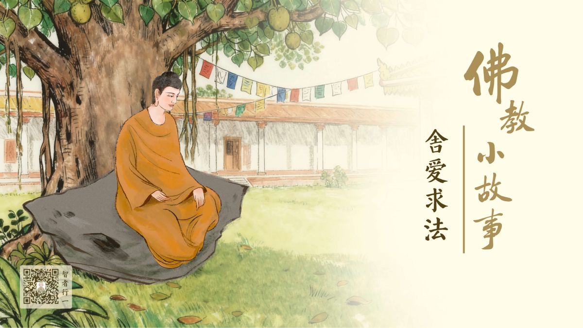 舍爱求法-第234集