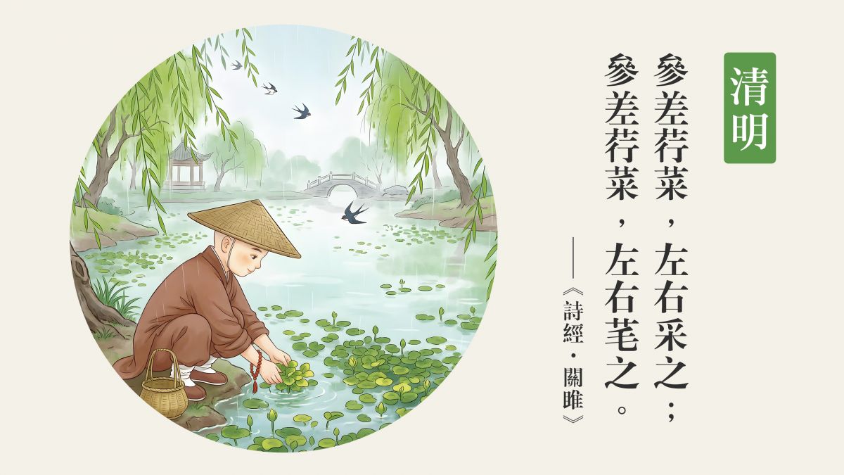 參差荇菜，左右采之-全1集