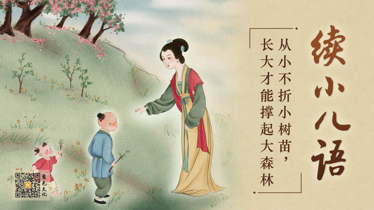 从小不折小树苗，长大才能撑起大森林-第5集