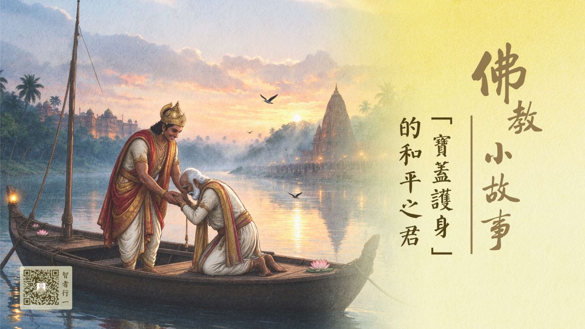“宝盖护身”的和平之君-第275集