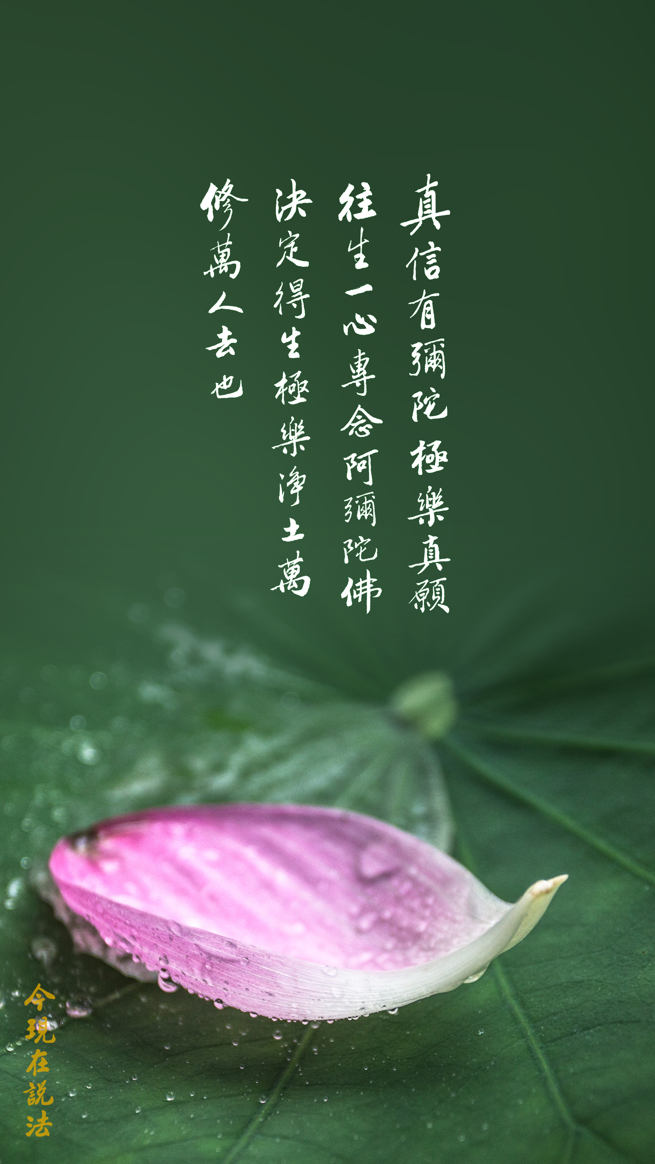 往生的條件有哪些_竪圖