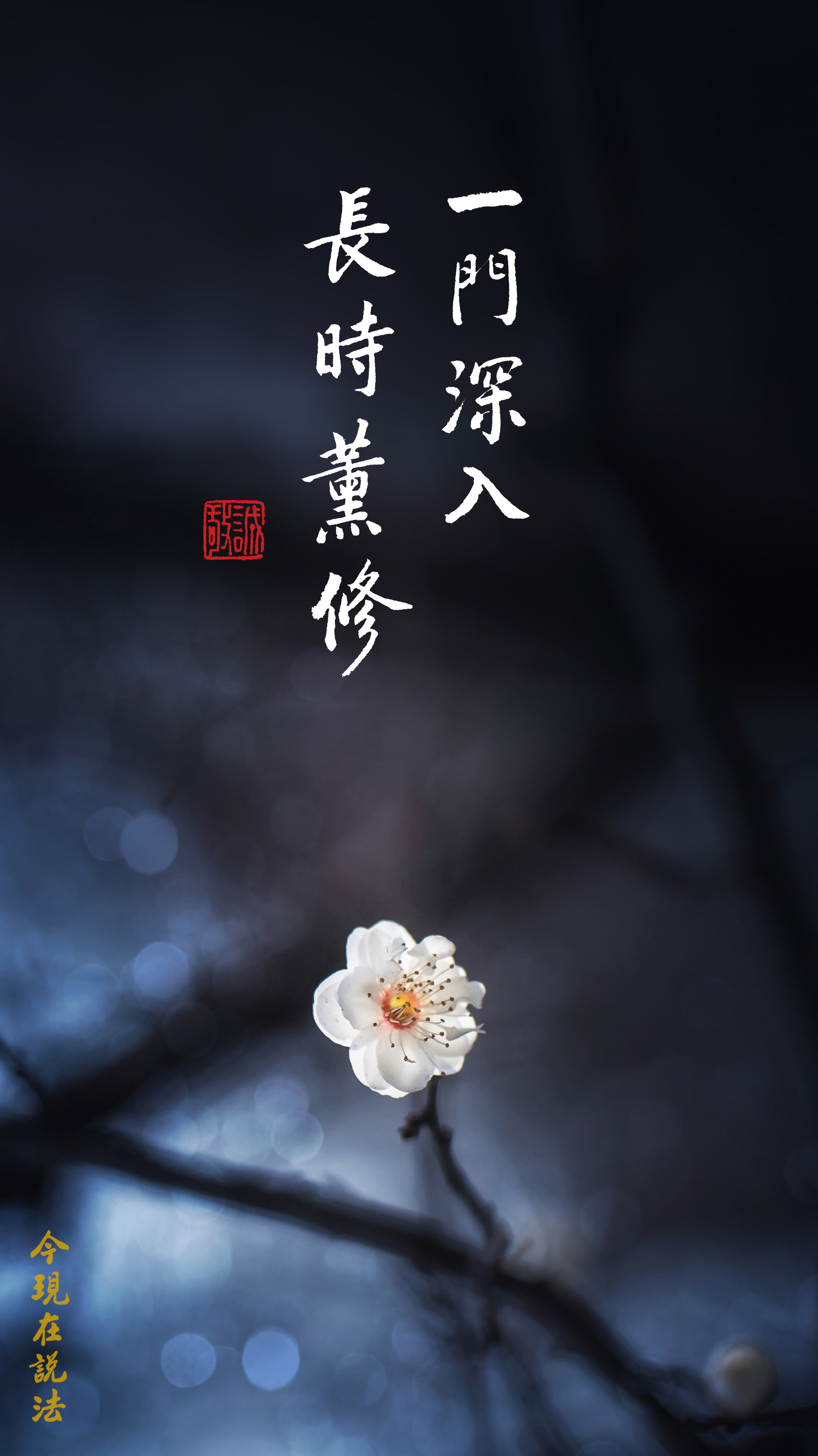 莫學雜專一門_竪圖