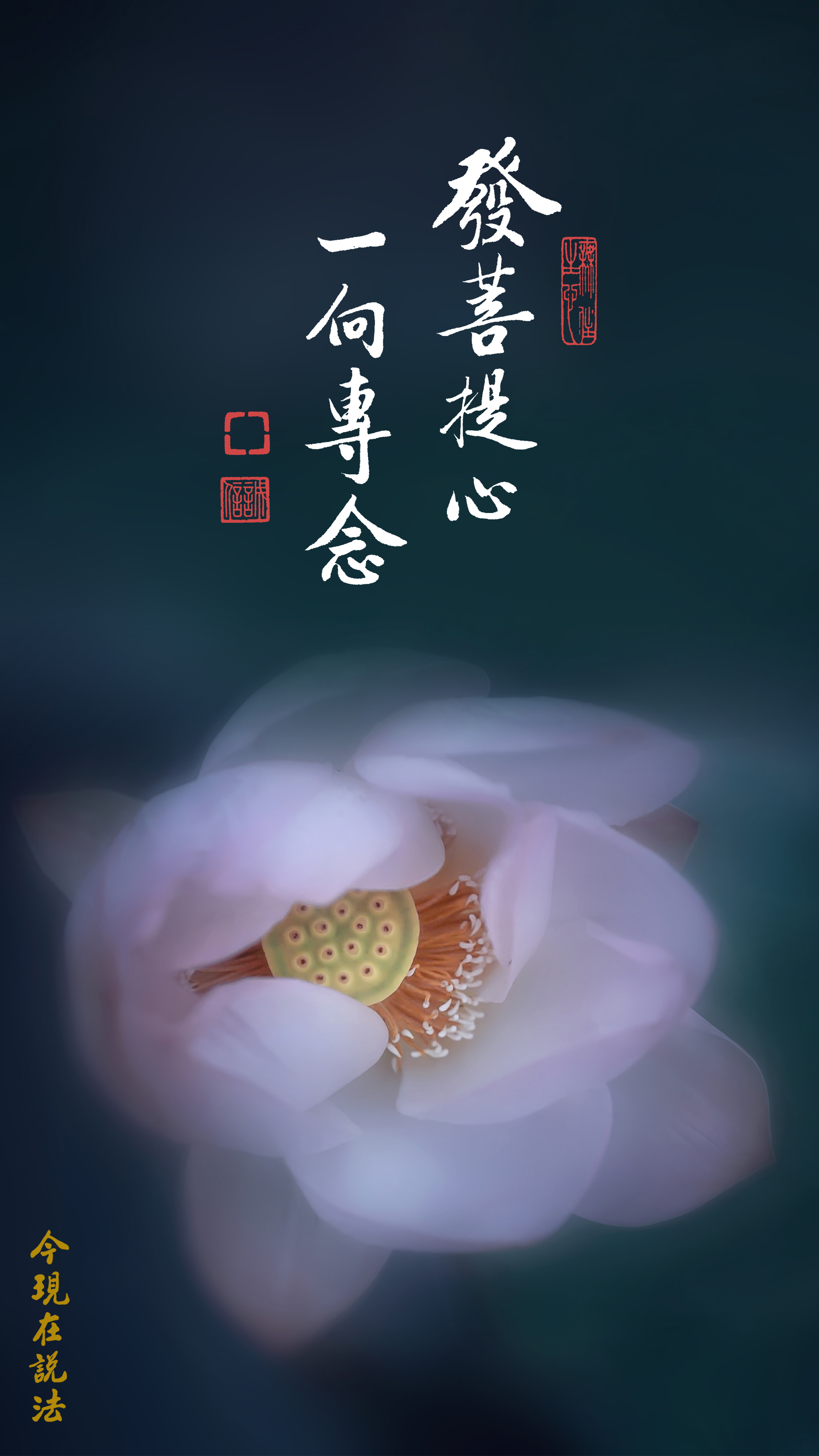 念佛法門殊勝行_竪圖