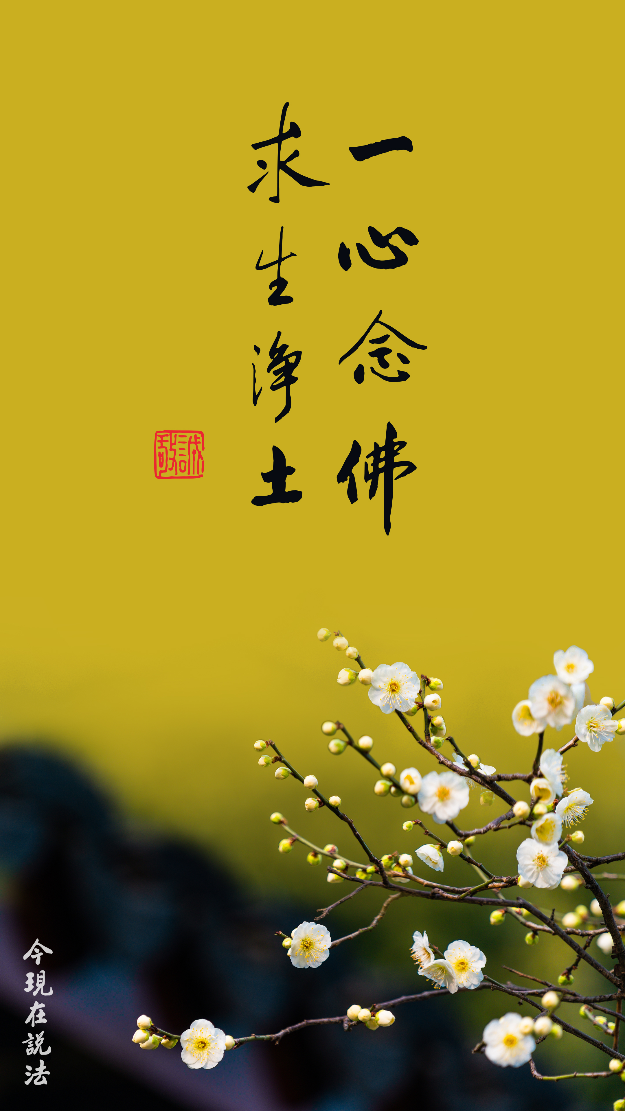 你還在留戀什麼？_豎圖