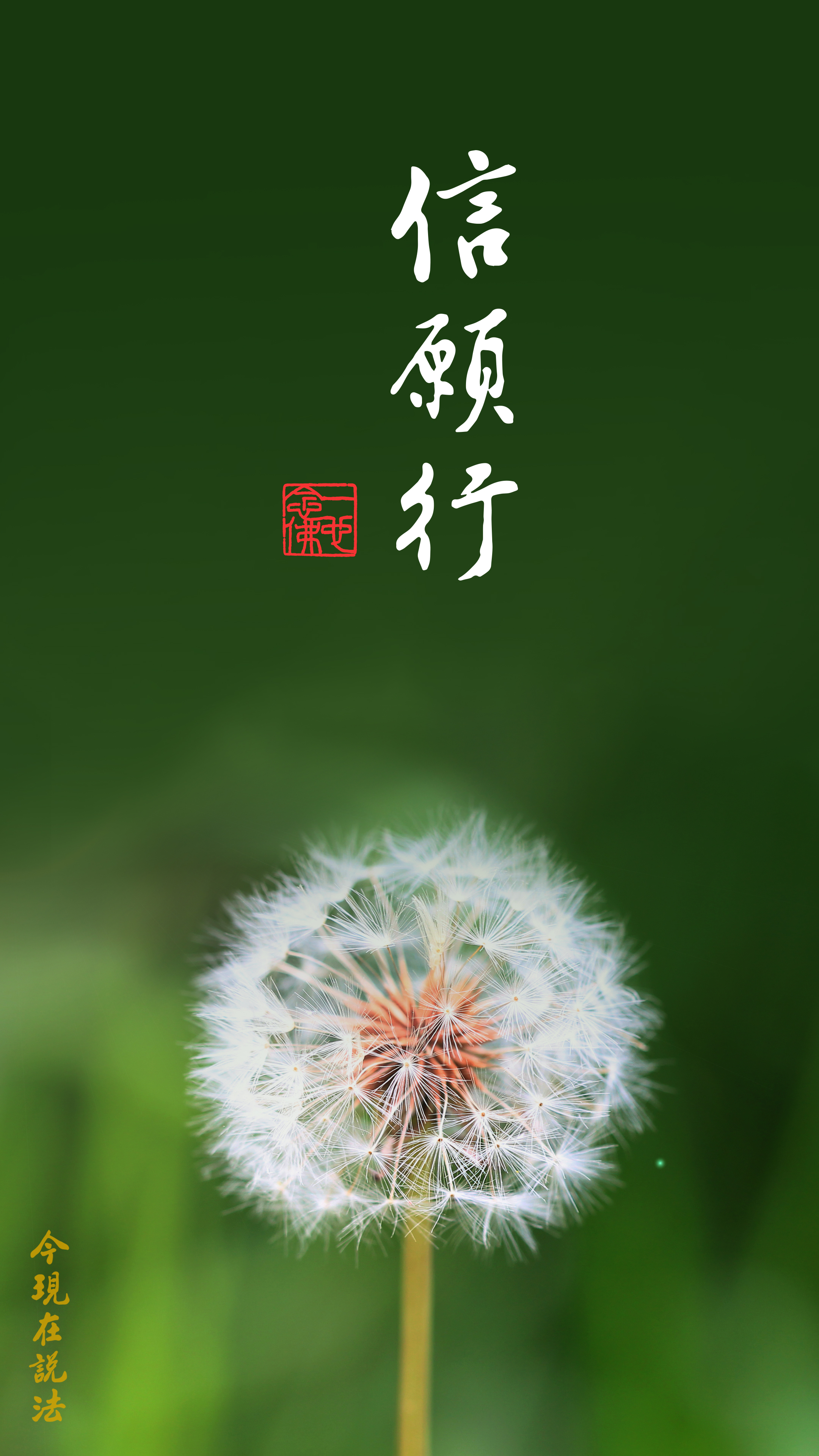 信的力量最大_豎圖