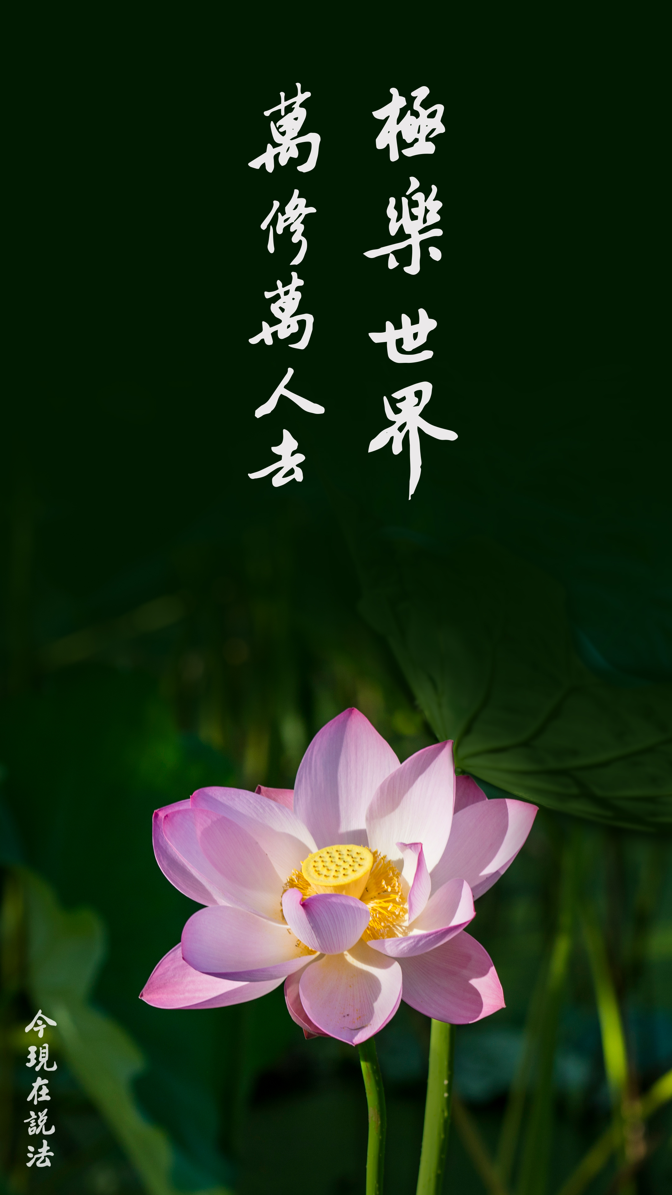 夢寐以求的世界_竖圖