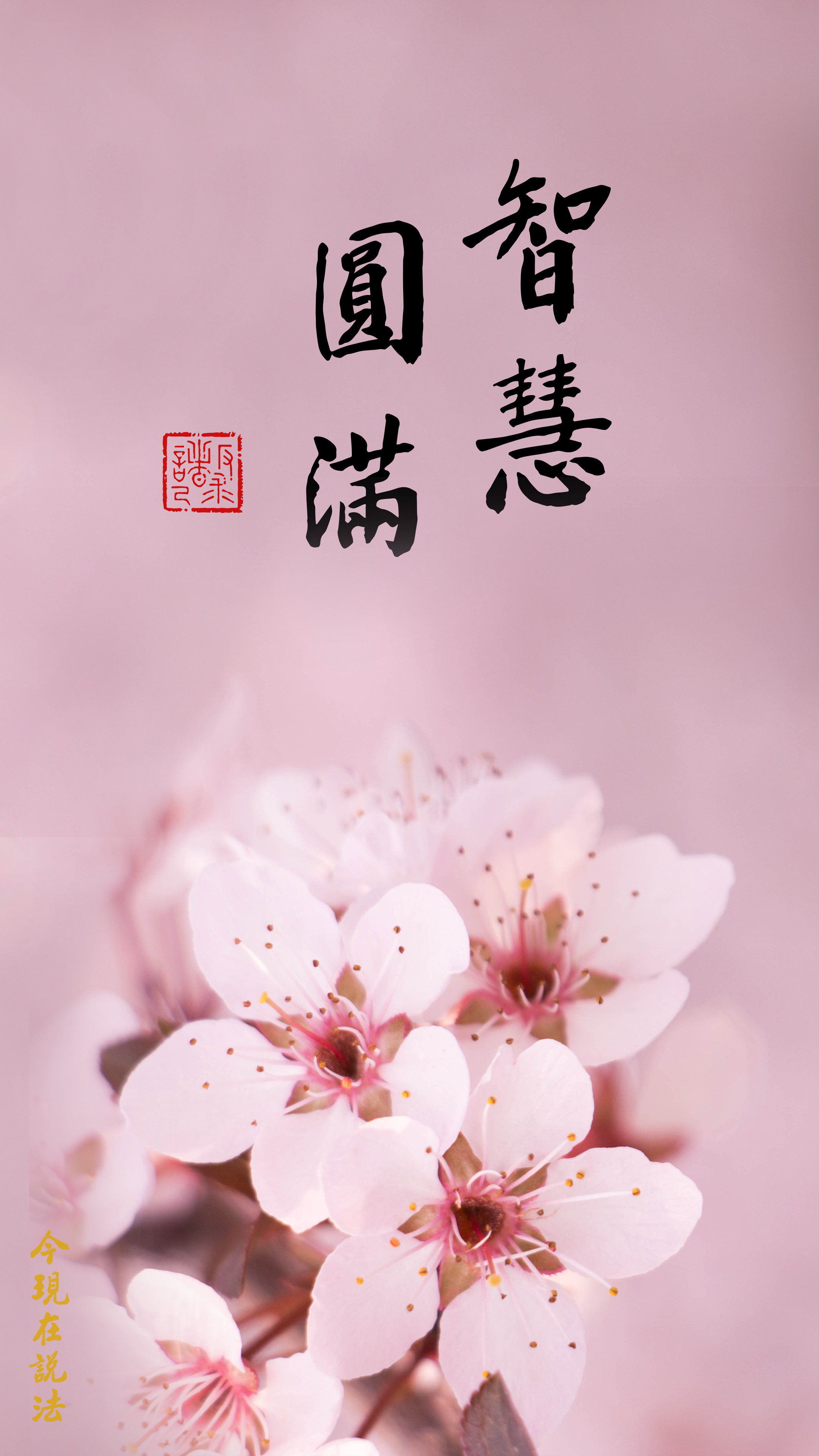 你是迷者，還是智者_竖图