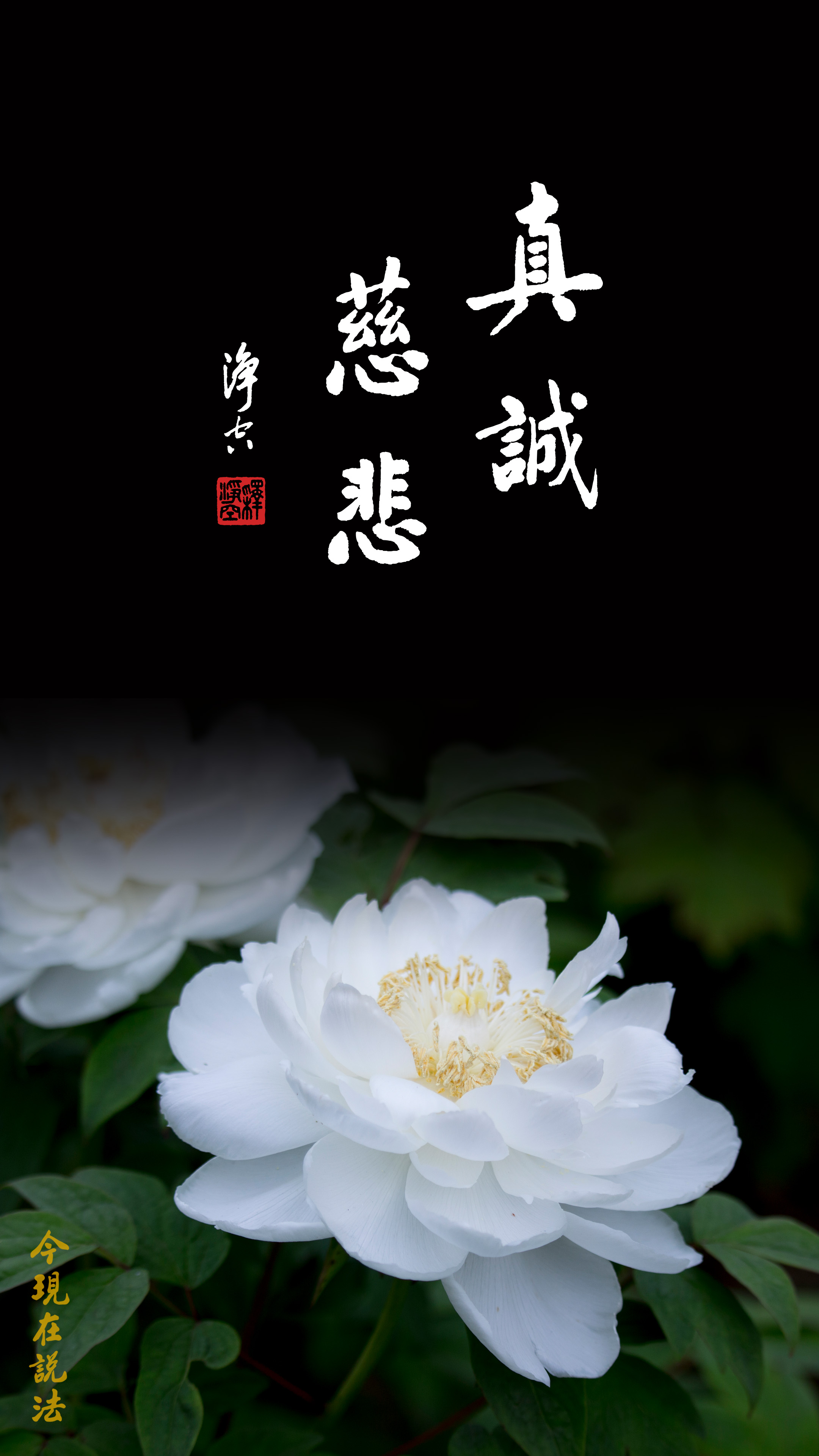 今天什麼是最大的事情？_竖图