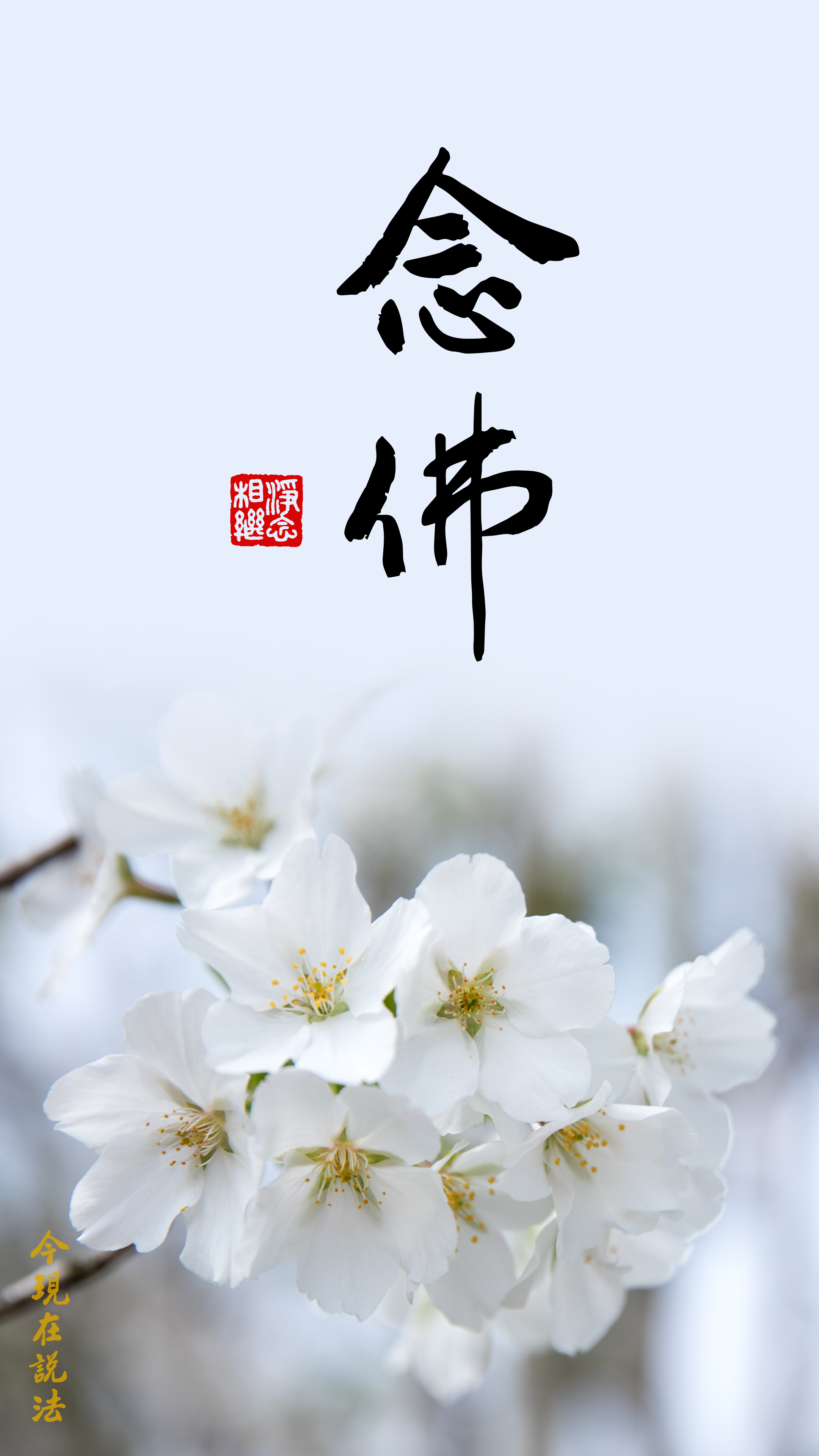 最殊勝、最簡單、最扼要、最真實的法門_竖图