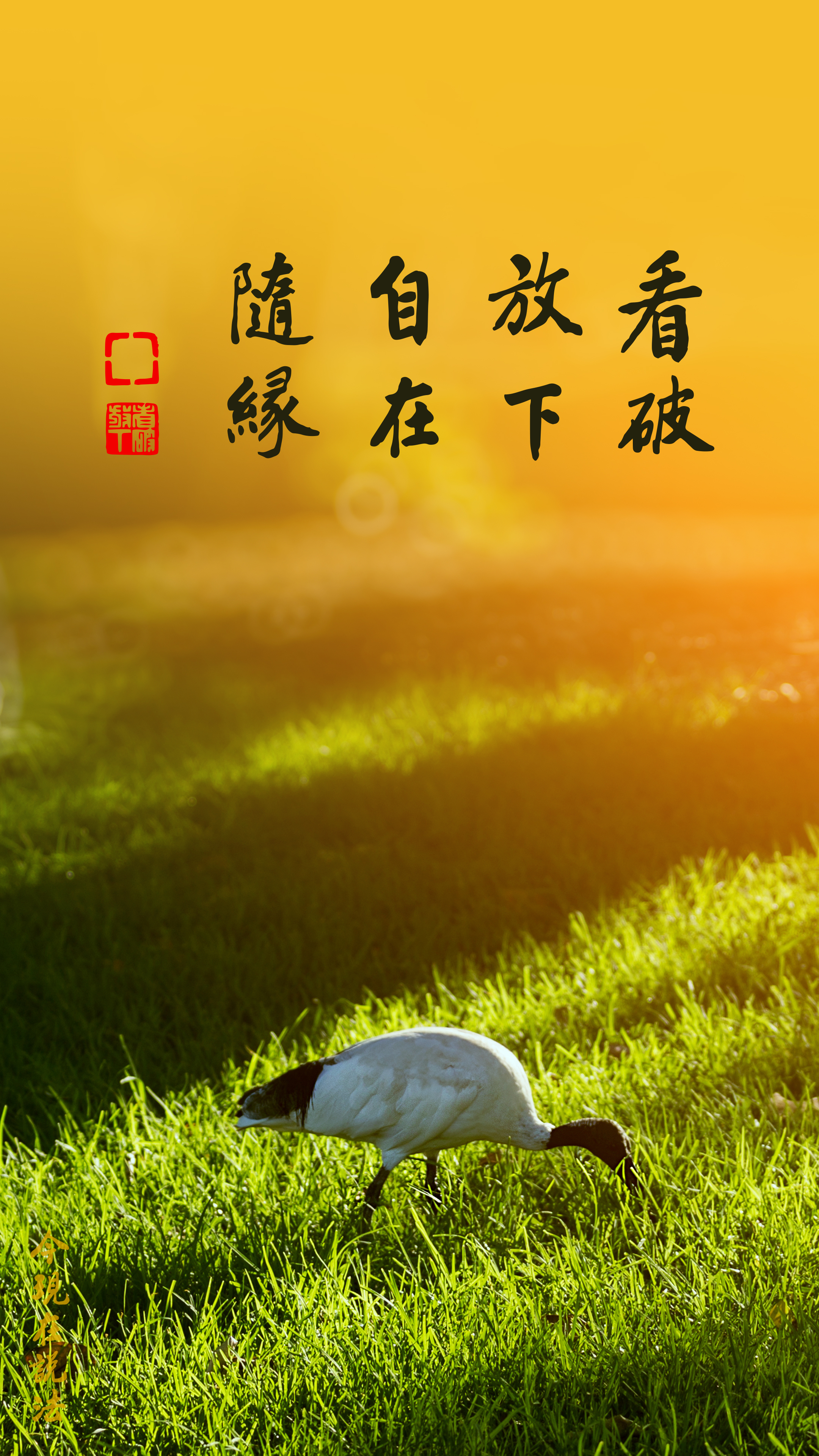 統統放下，一切隨它去吧_竖图