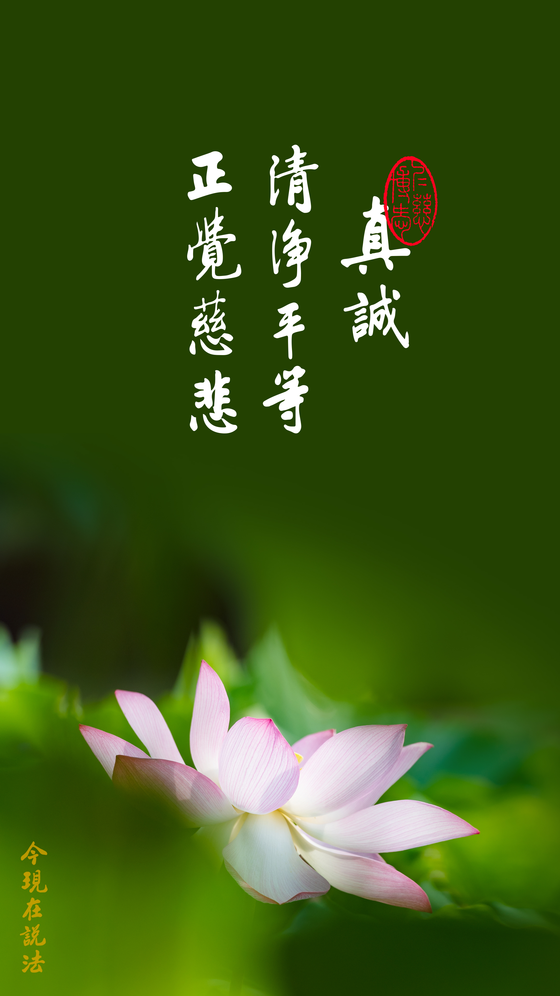 心地清淨 一聽就懂_竖图