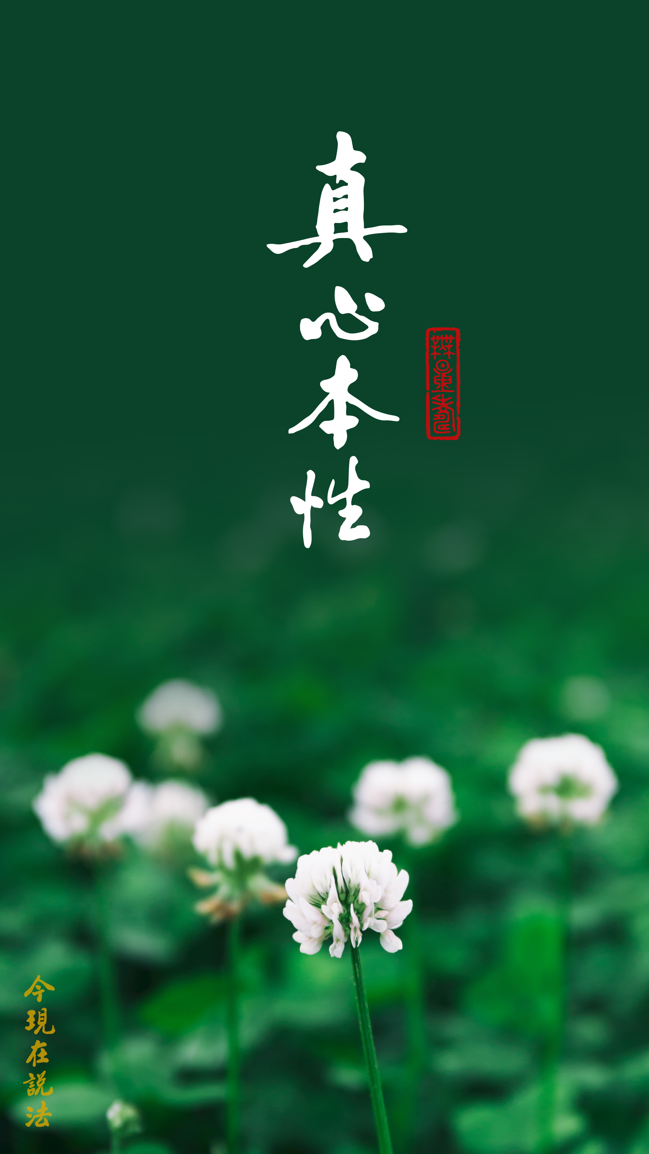 把真心找出來_竖圖