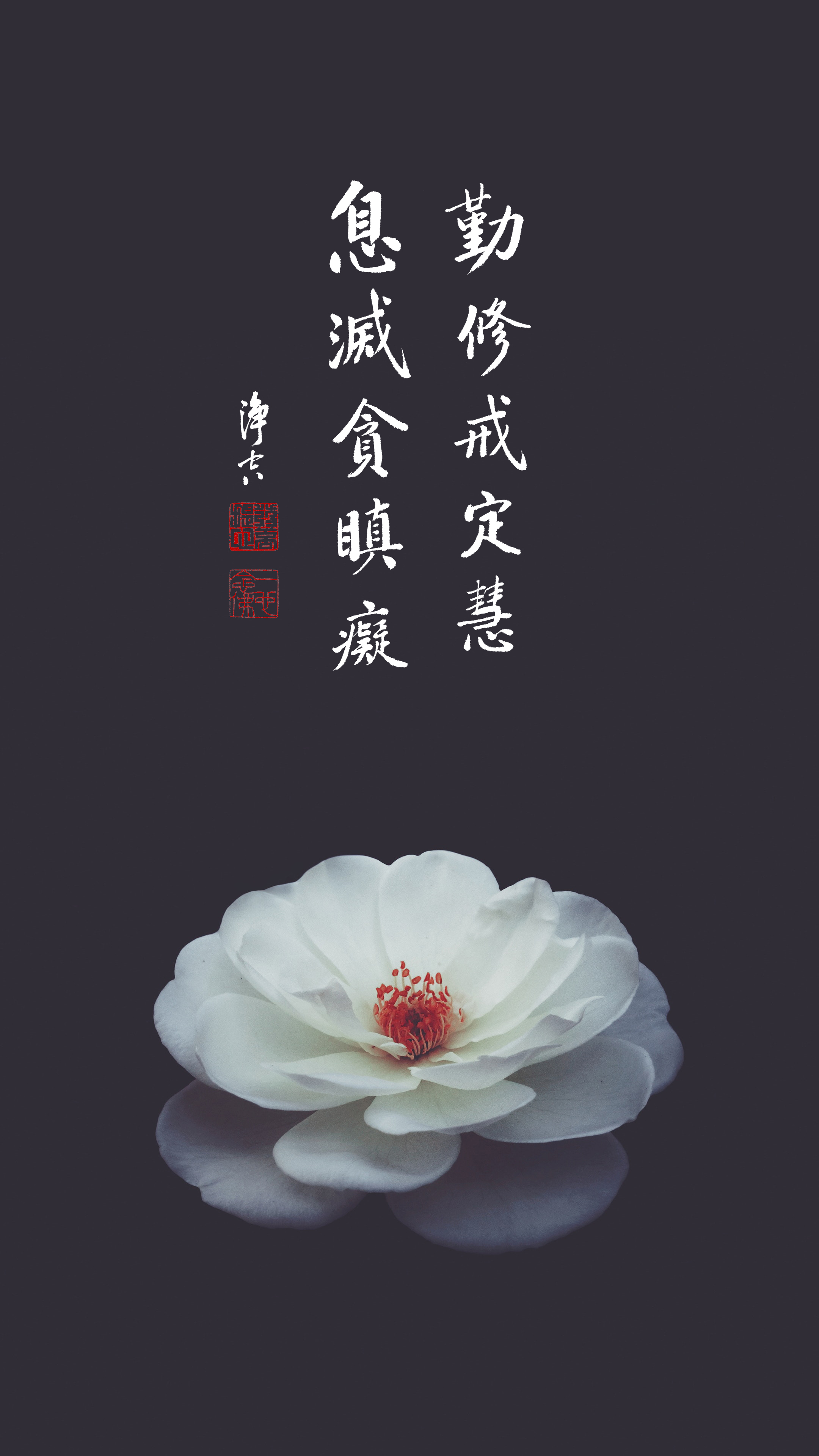 往生是大事其他都是小事_豎圖