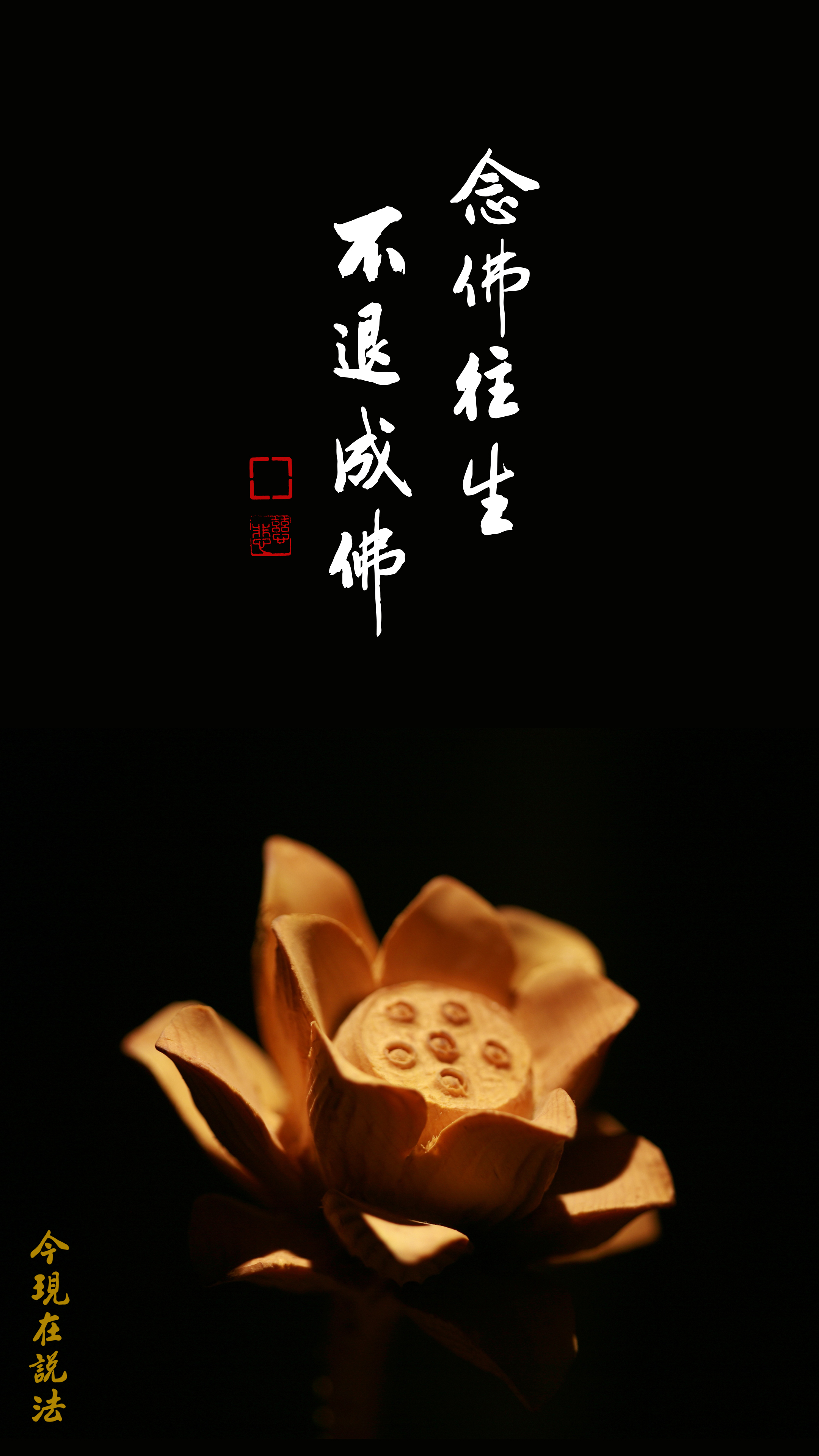 念佛功夫不得力 就是沒放下_竖圖