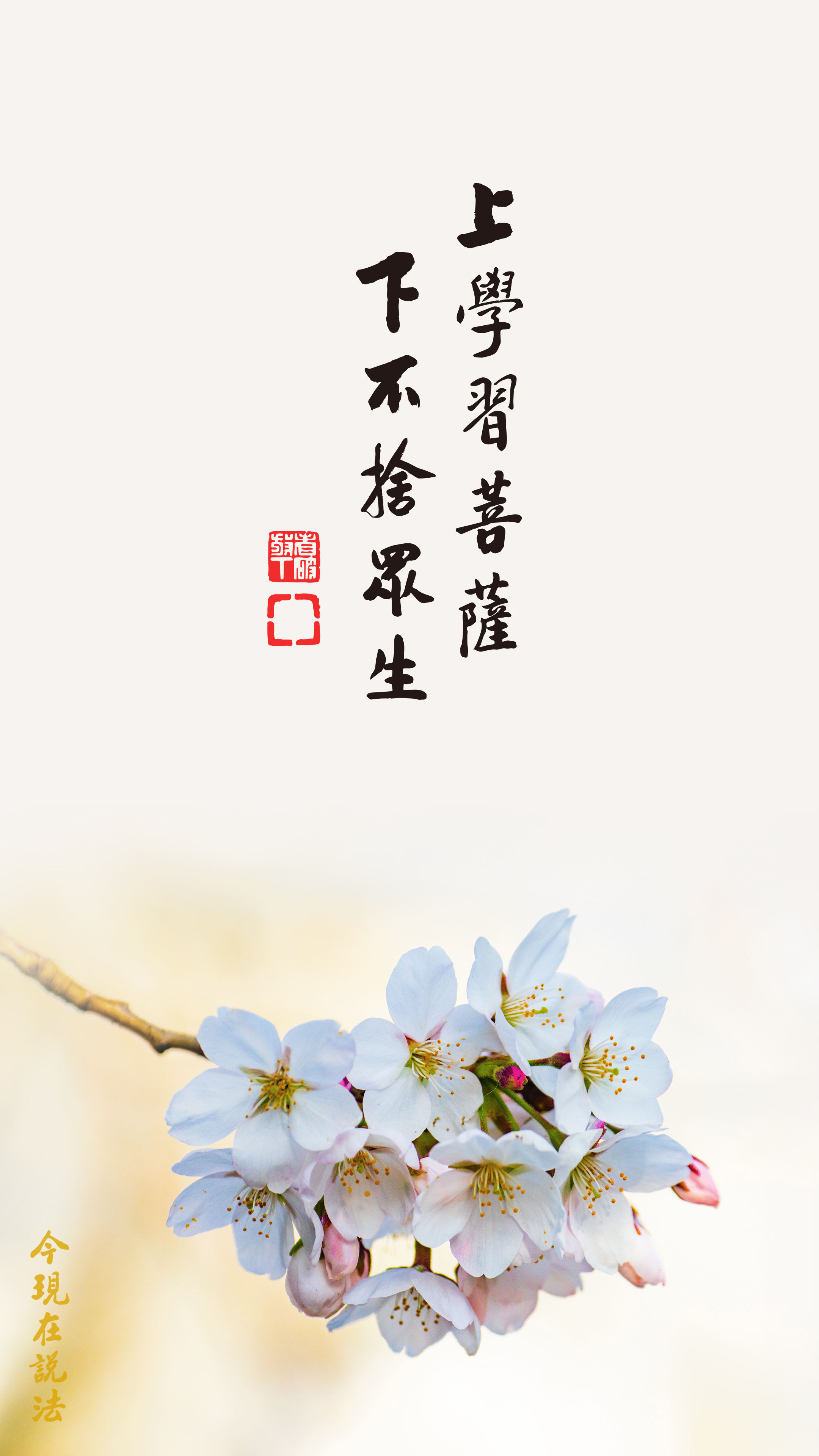 上學習菩薩 下不捨眾生_竖图