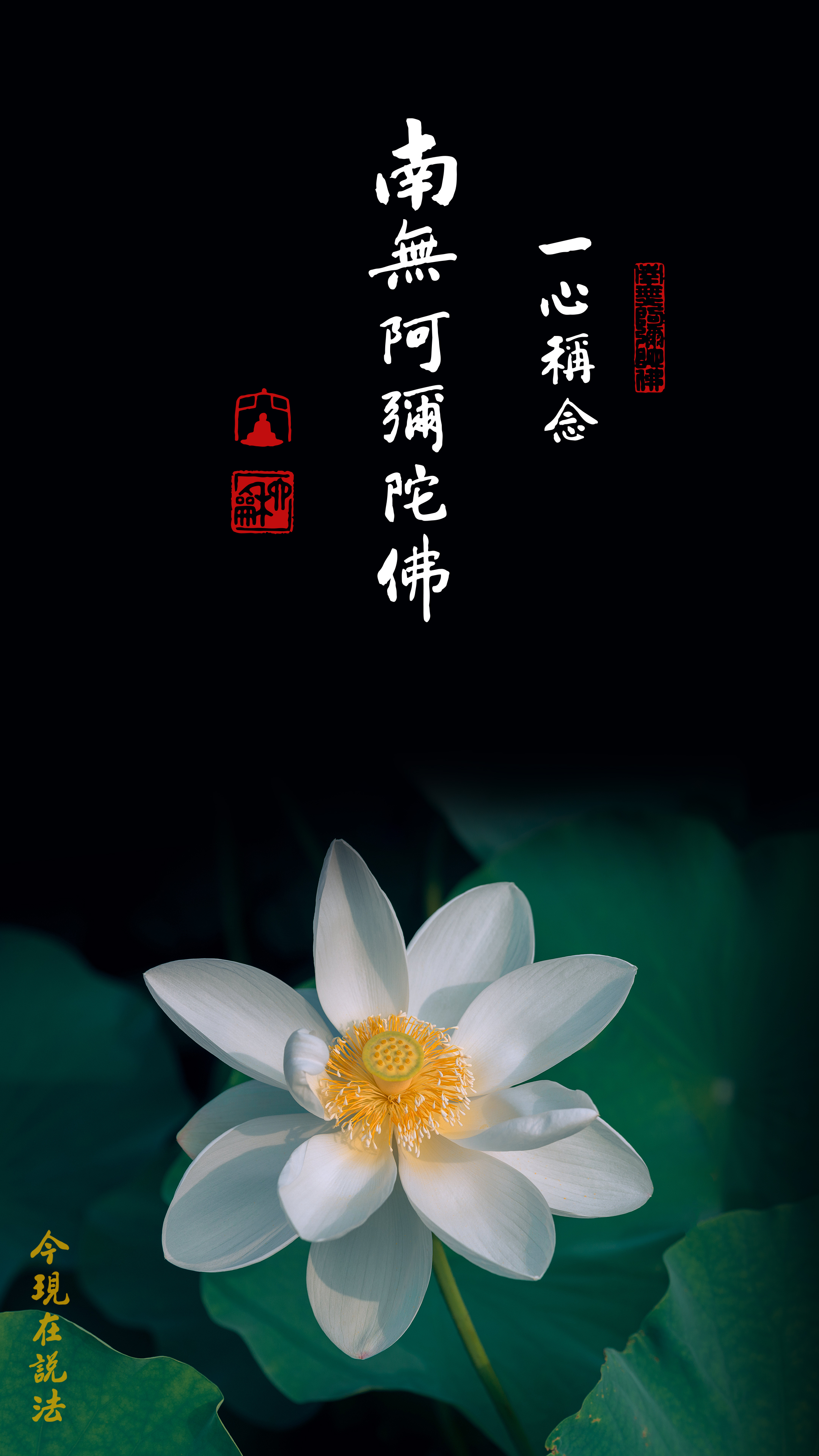 念念求生極樂世界 一定成功_竖圖