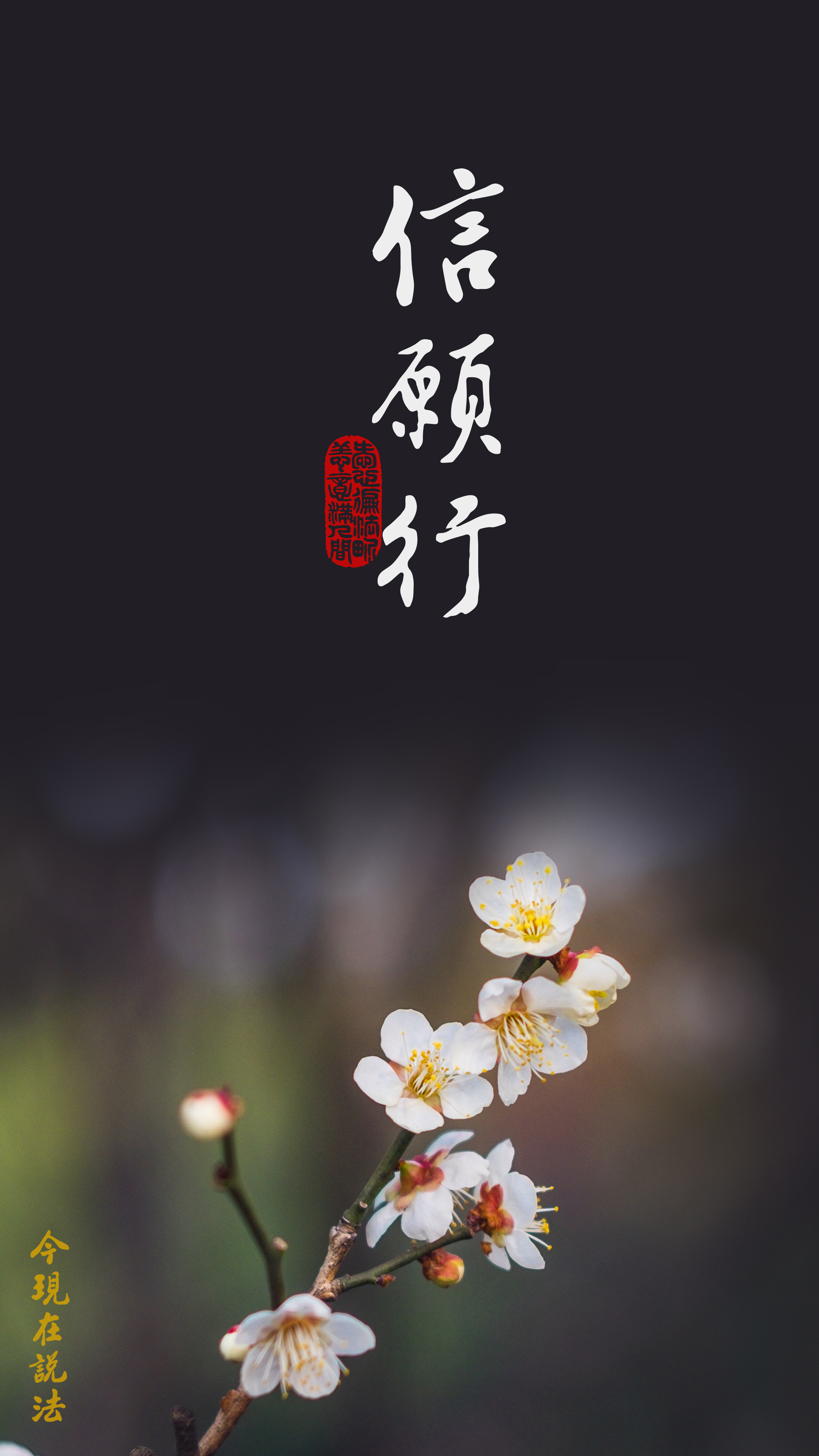 為什麼我們念佛效果不顯著_竪图