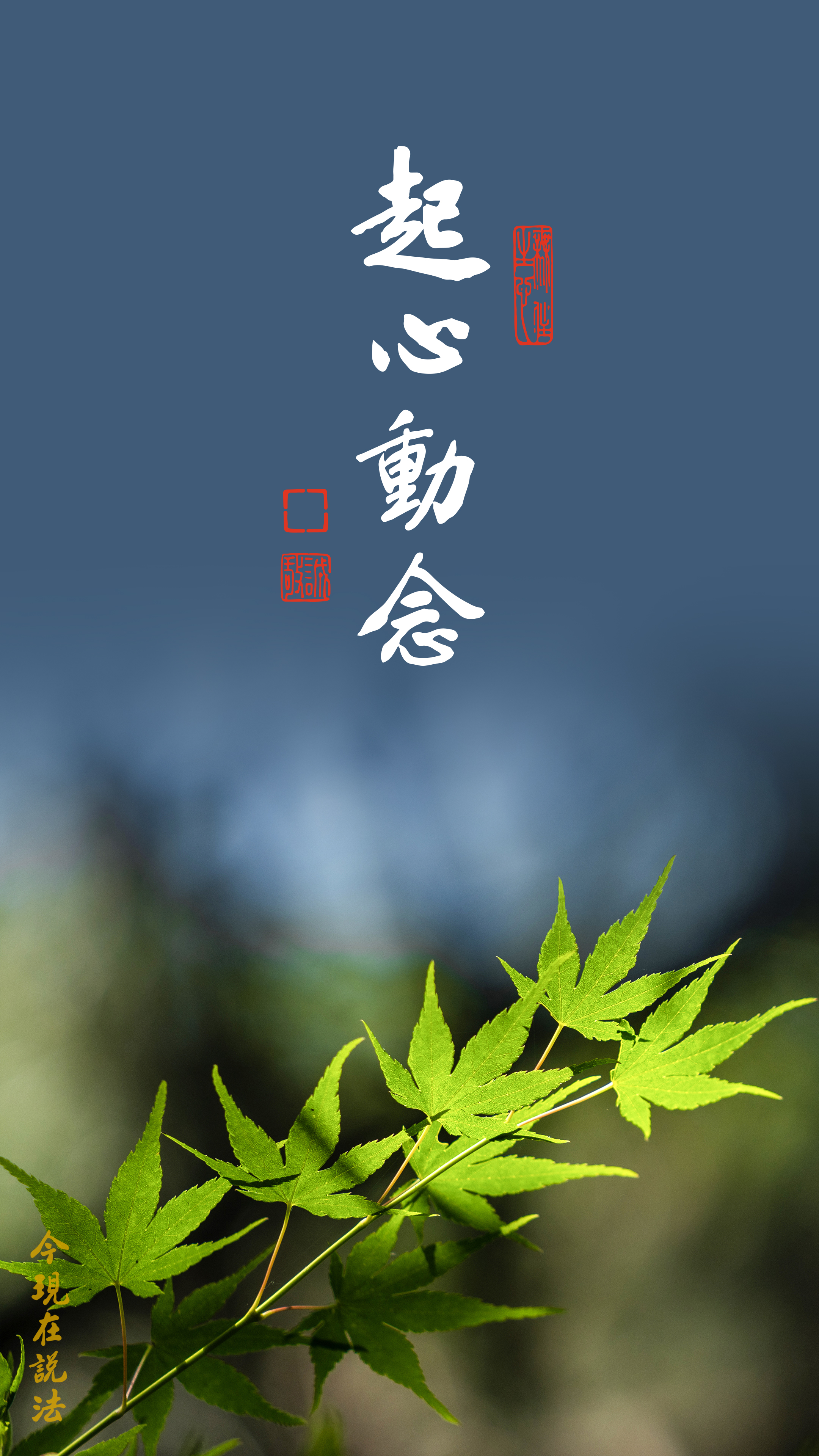 所有一切錯誤都是太衝動_竖图