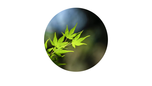 WeChat 圖片_20200407135858