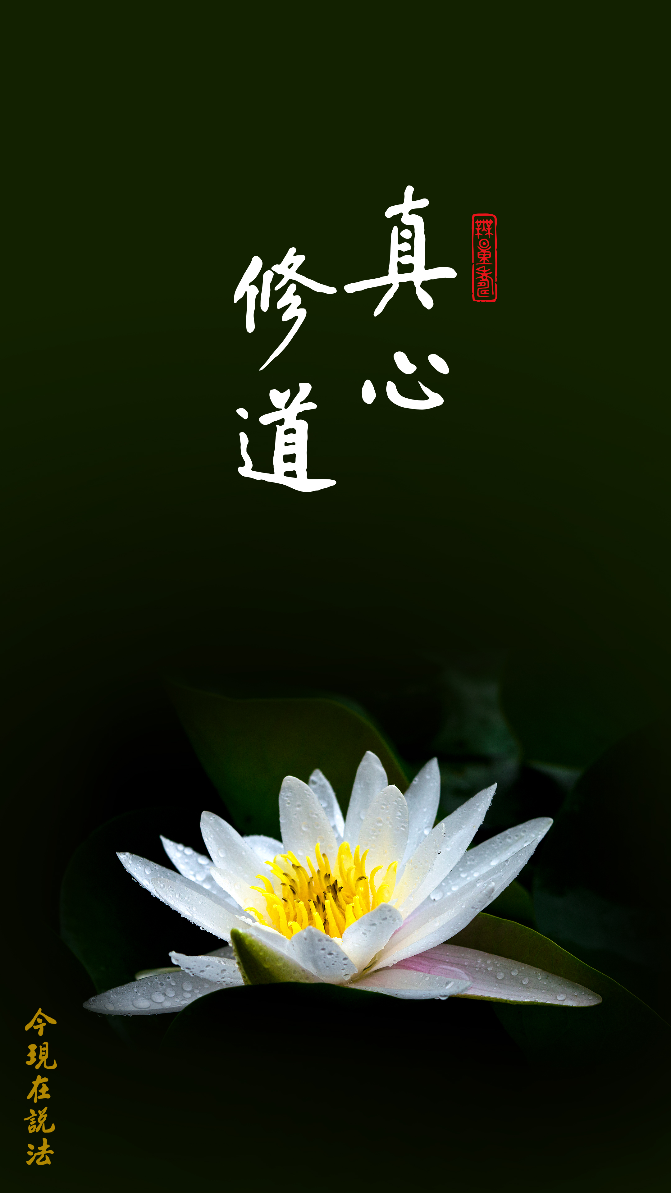 你用了幾分真心_豎图