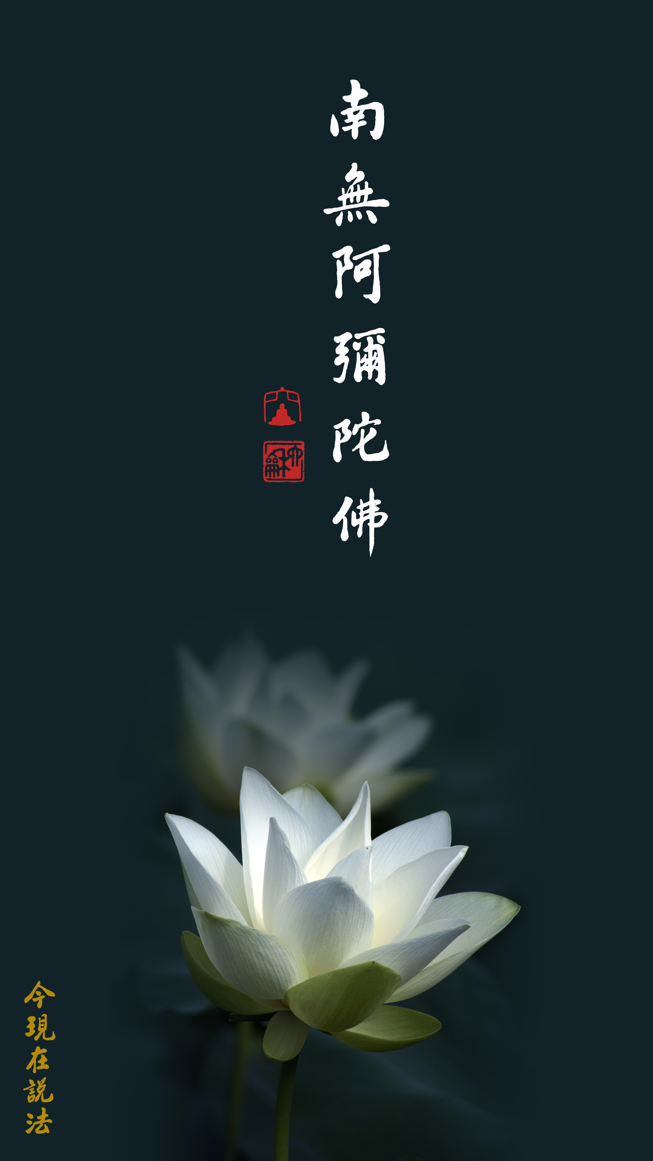 一句佛號 不可思議_豎图