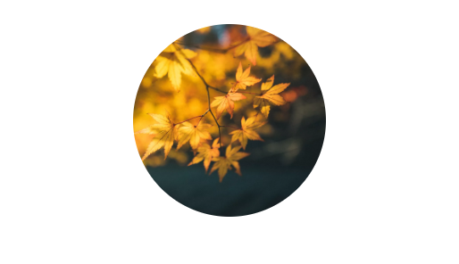 WeChat 圖片_20200609191001