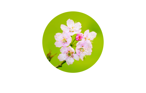 WeChat 圖片_20200725111525