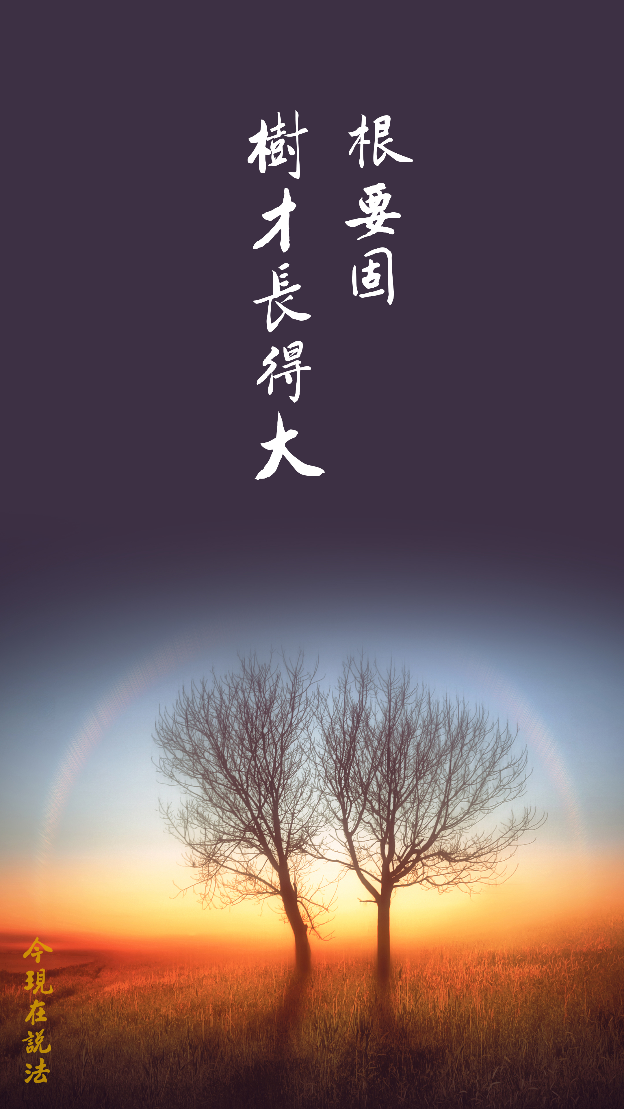 中國人最值得讚歎根要固，樹才長得大_竖圖