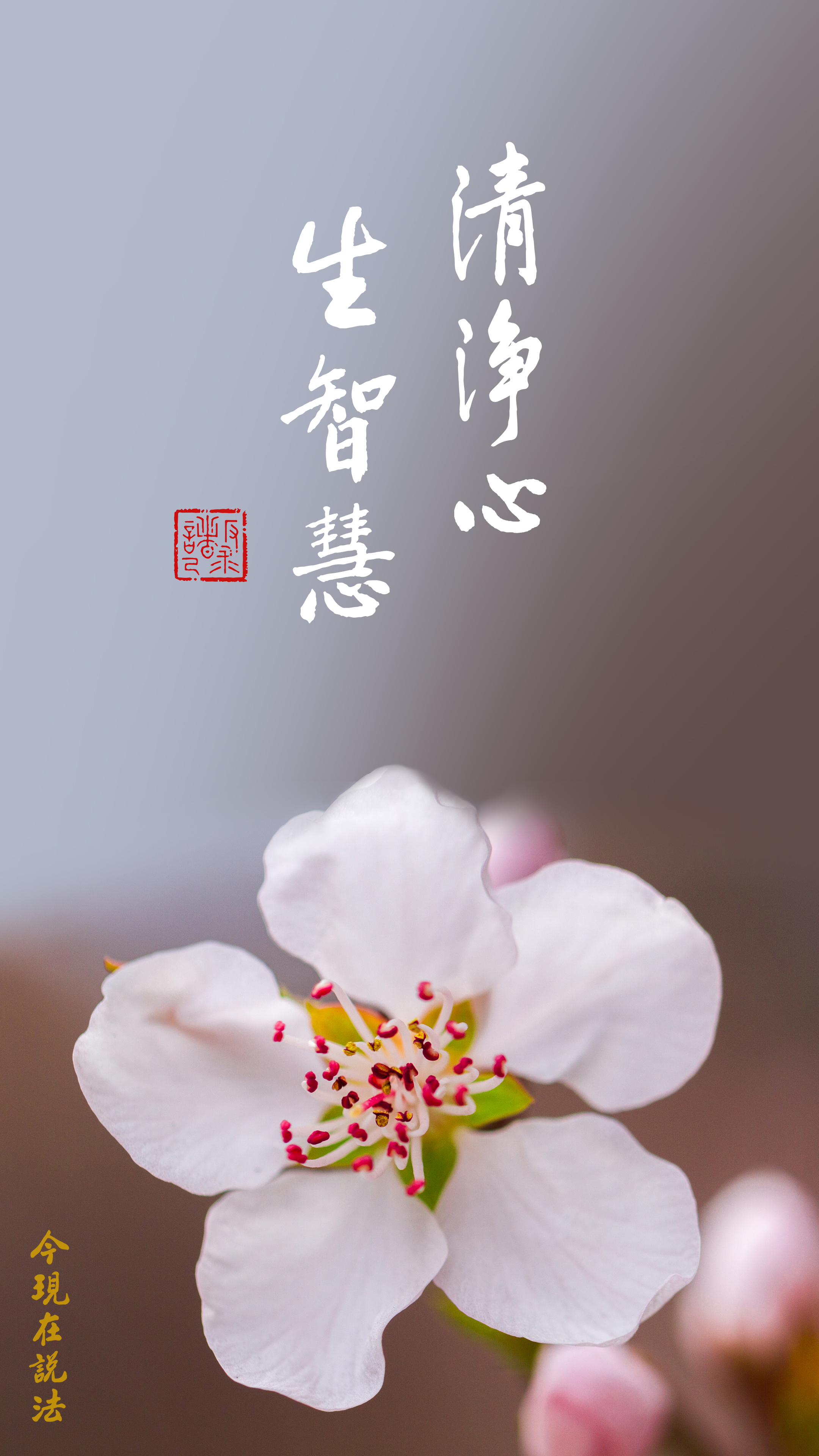 功夫都在日常生活當中_竖图