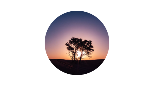 WeChat 圖片_20200731183940