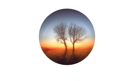 WeChat 圖片_20200729113514