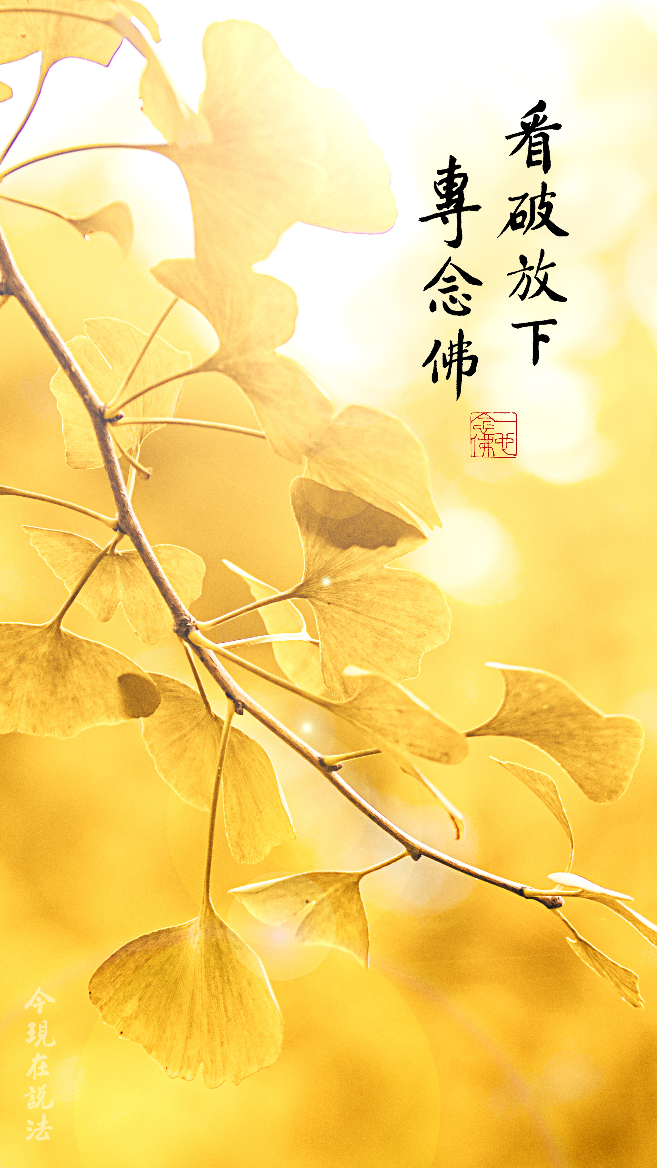 佛門是敞開的怎麼進去_豎圖