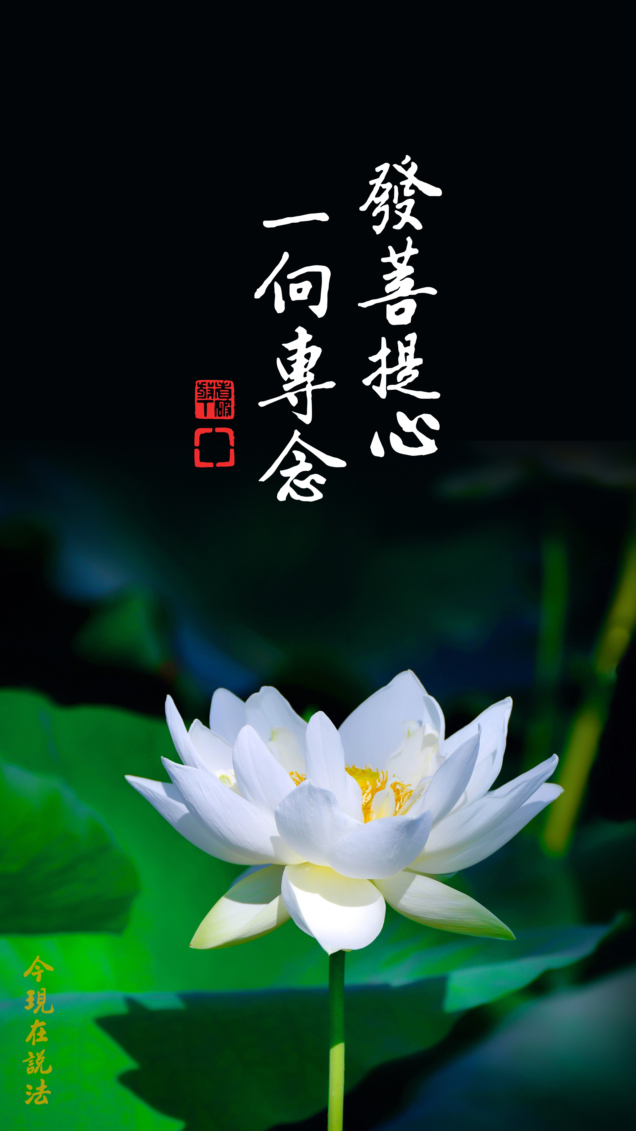 得人身最可貴的是學淨土_竖图