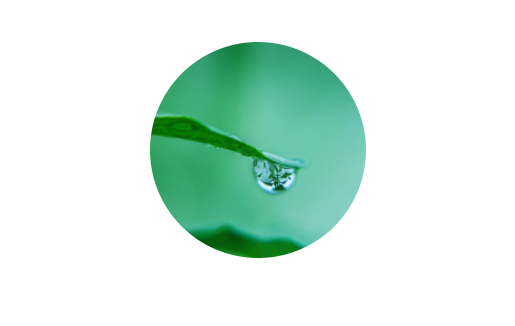 WeChat 圖片_20200815122216