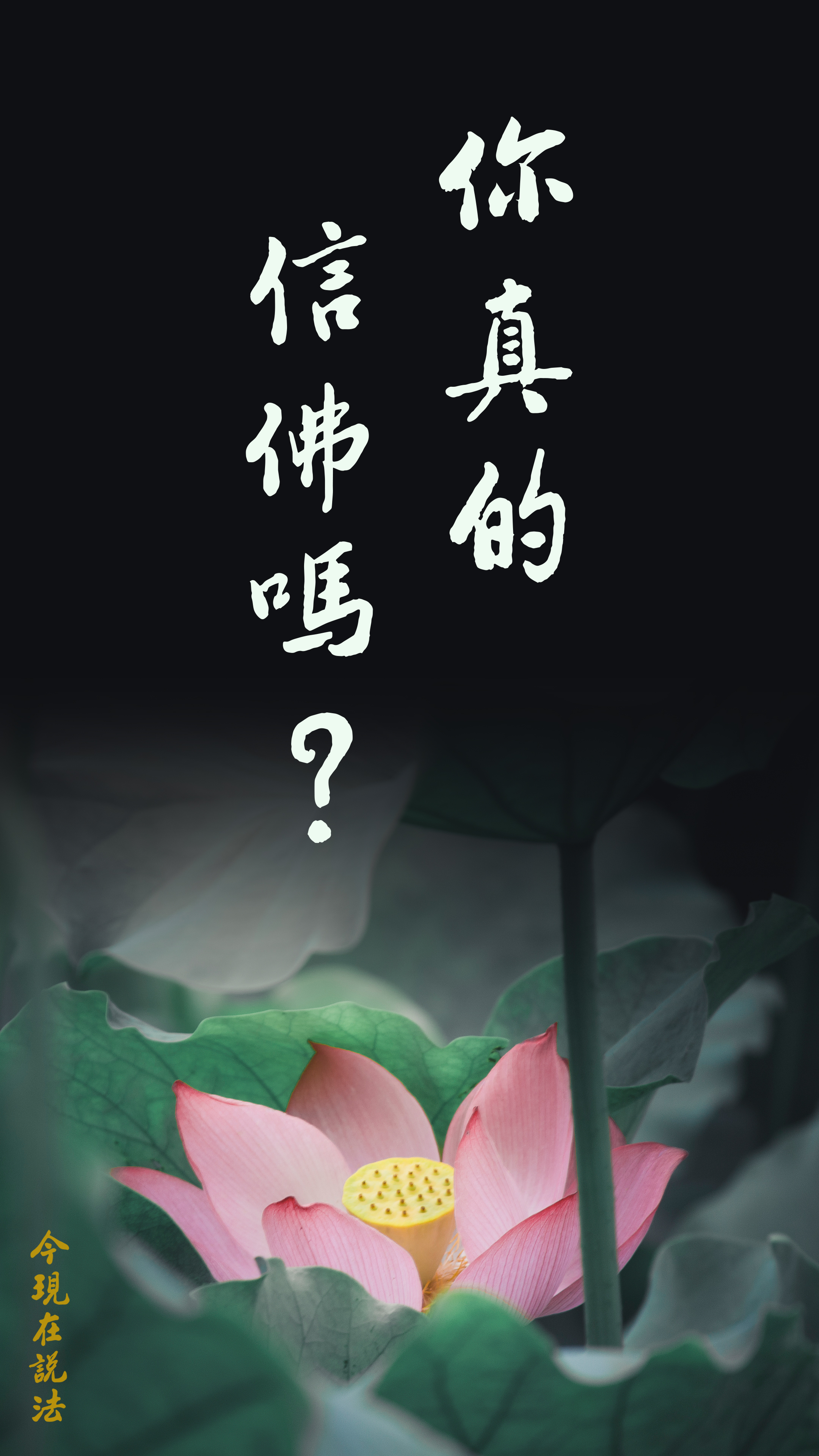 你真的信佛嗎？_竖图