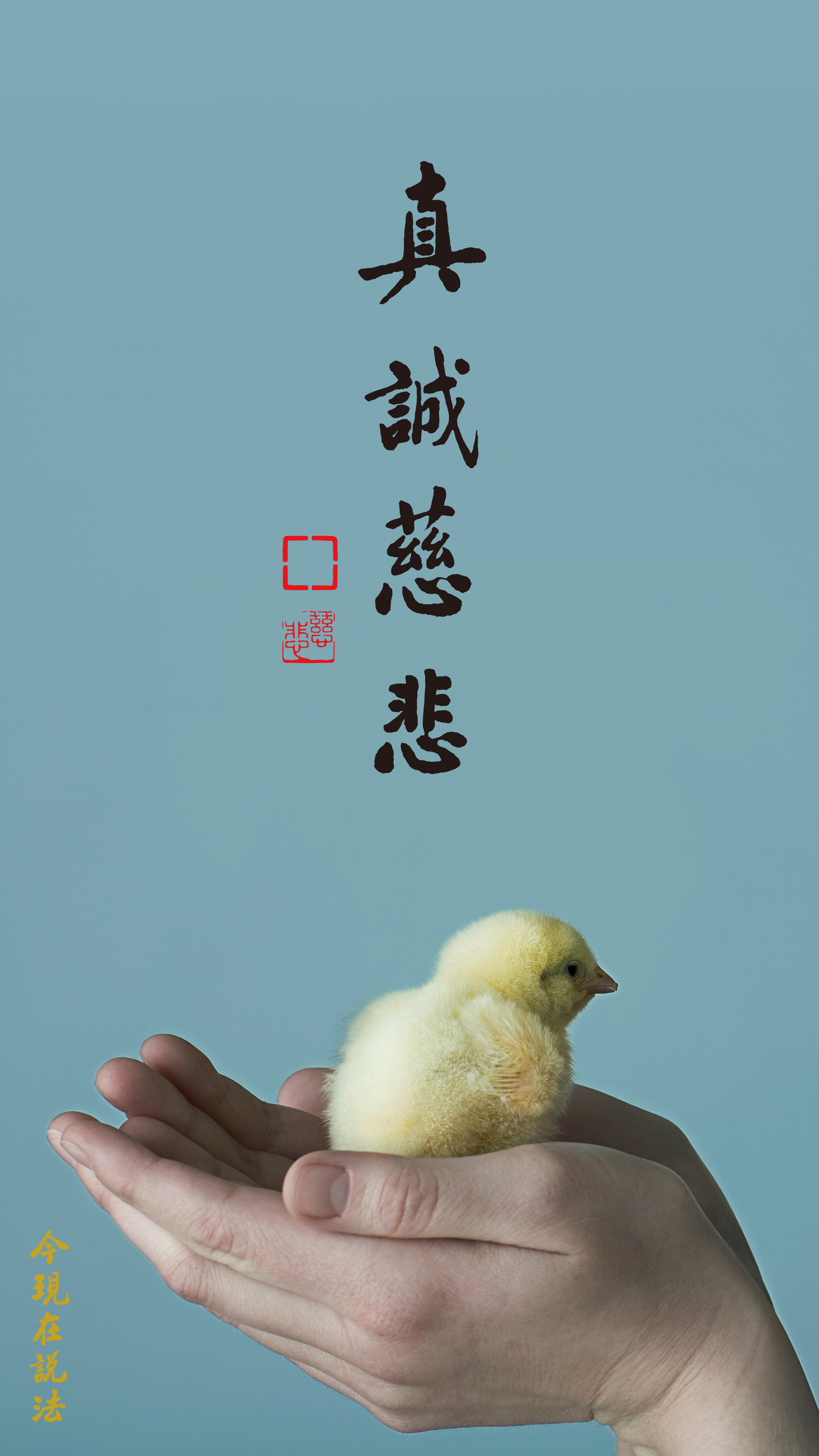 累生累世犯了殺生的罪業該怎麼辦？_竖图