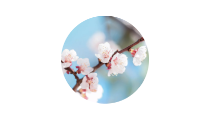 WeChat 圖片_20201003184050