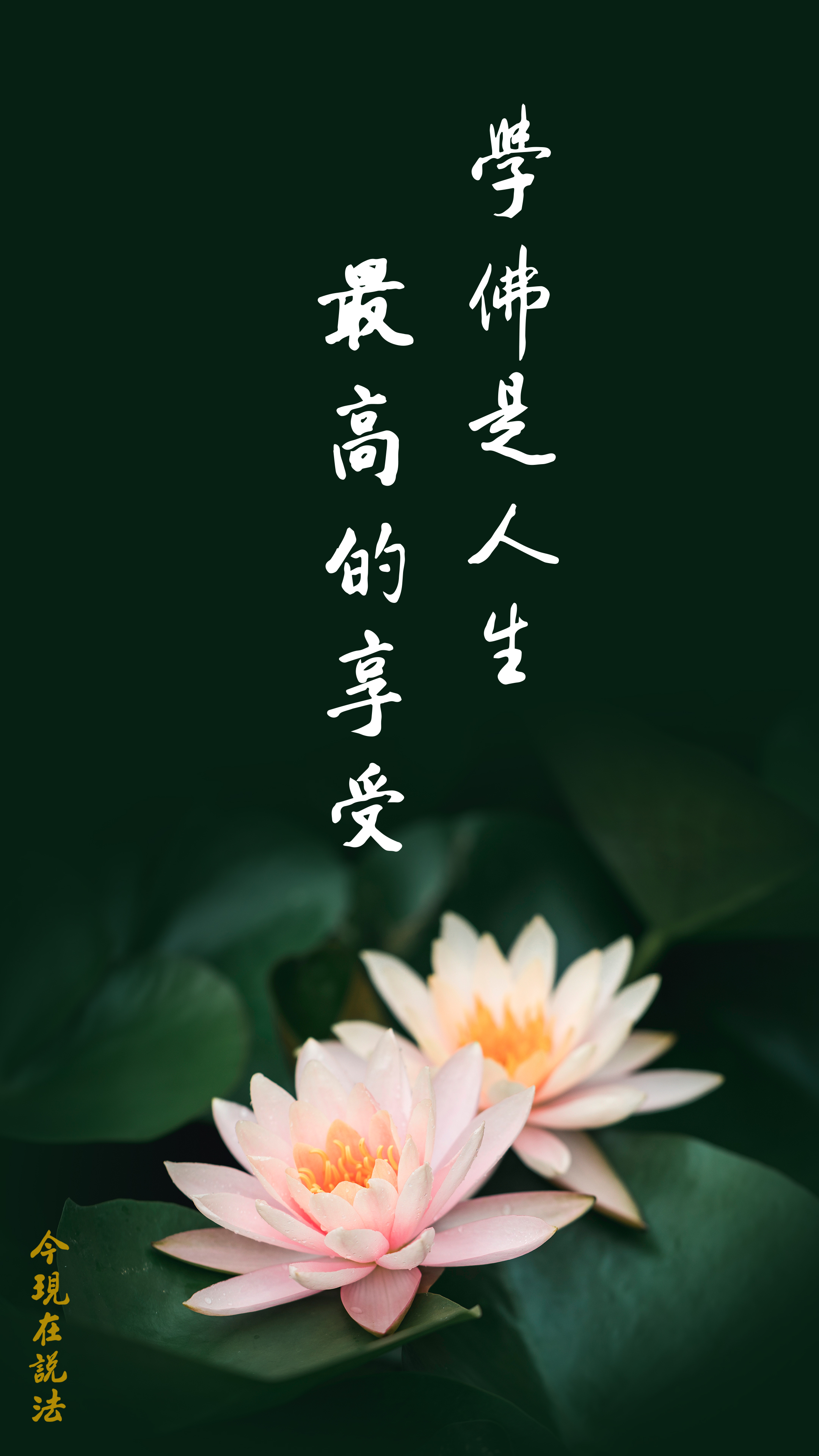 佛是人生最高的享受_竖图