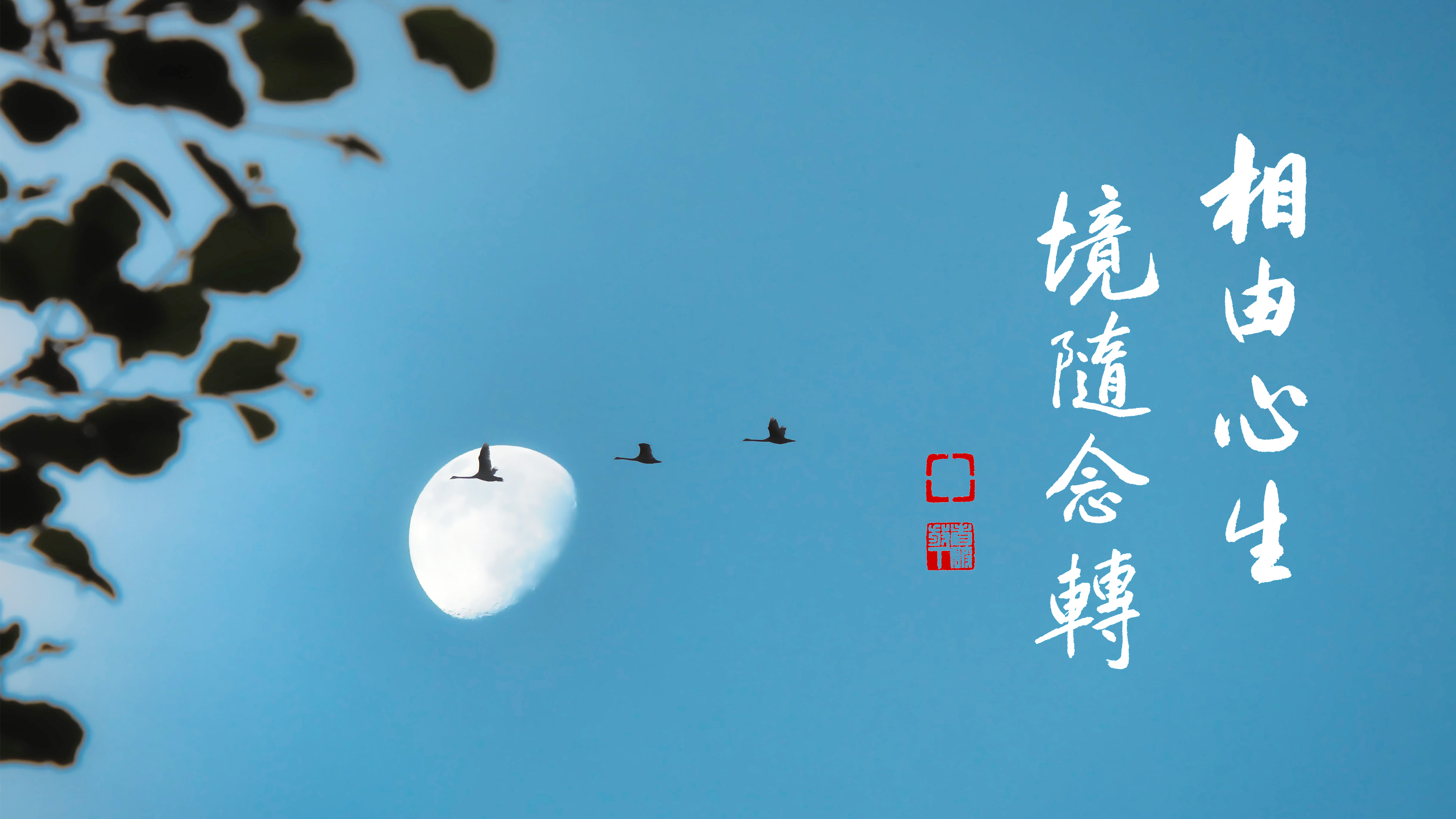 MB090_相由心生境隨心轉_橫圖