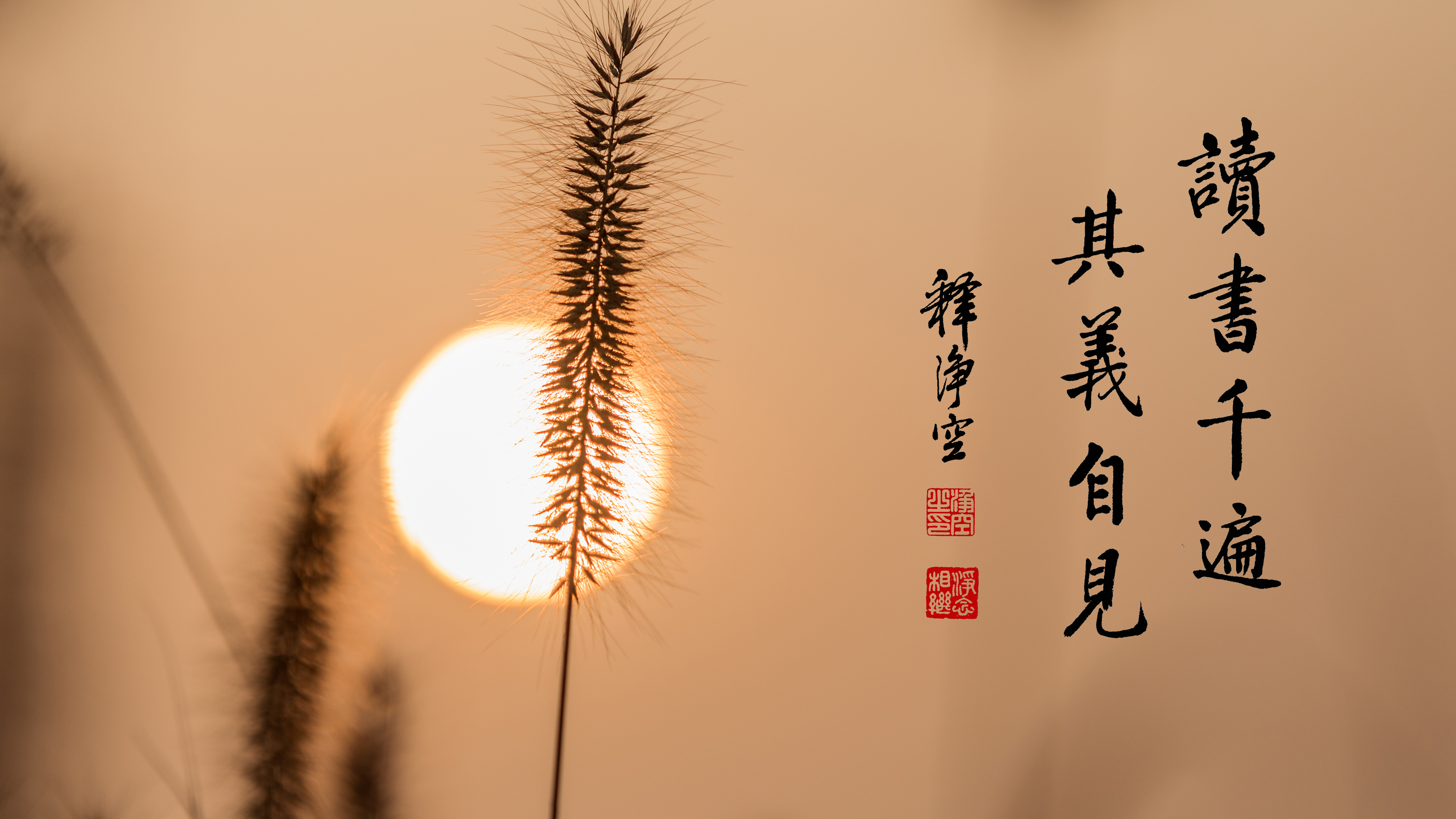 MB072_讀書千遍其義自見_橫圖