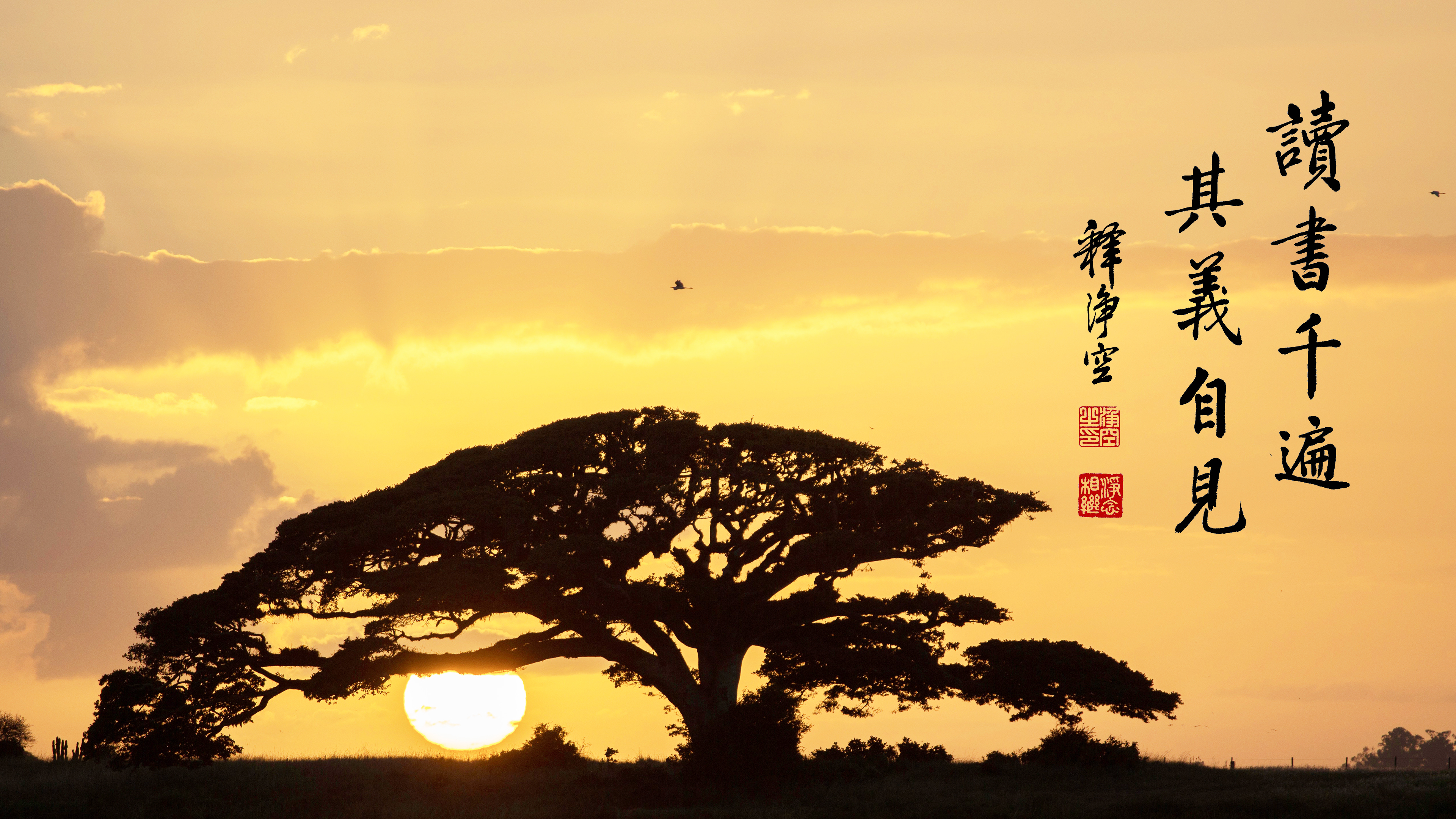 MB088_讀書千遍其義自見_橫圖