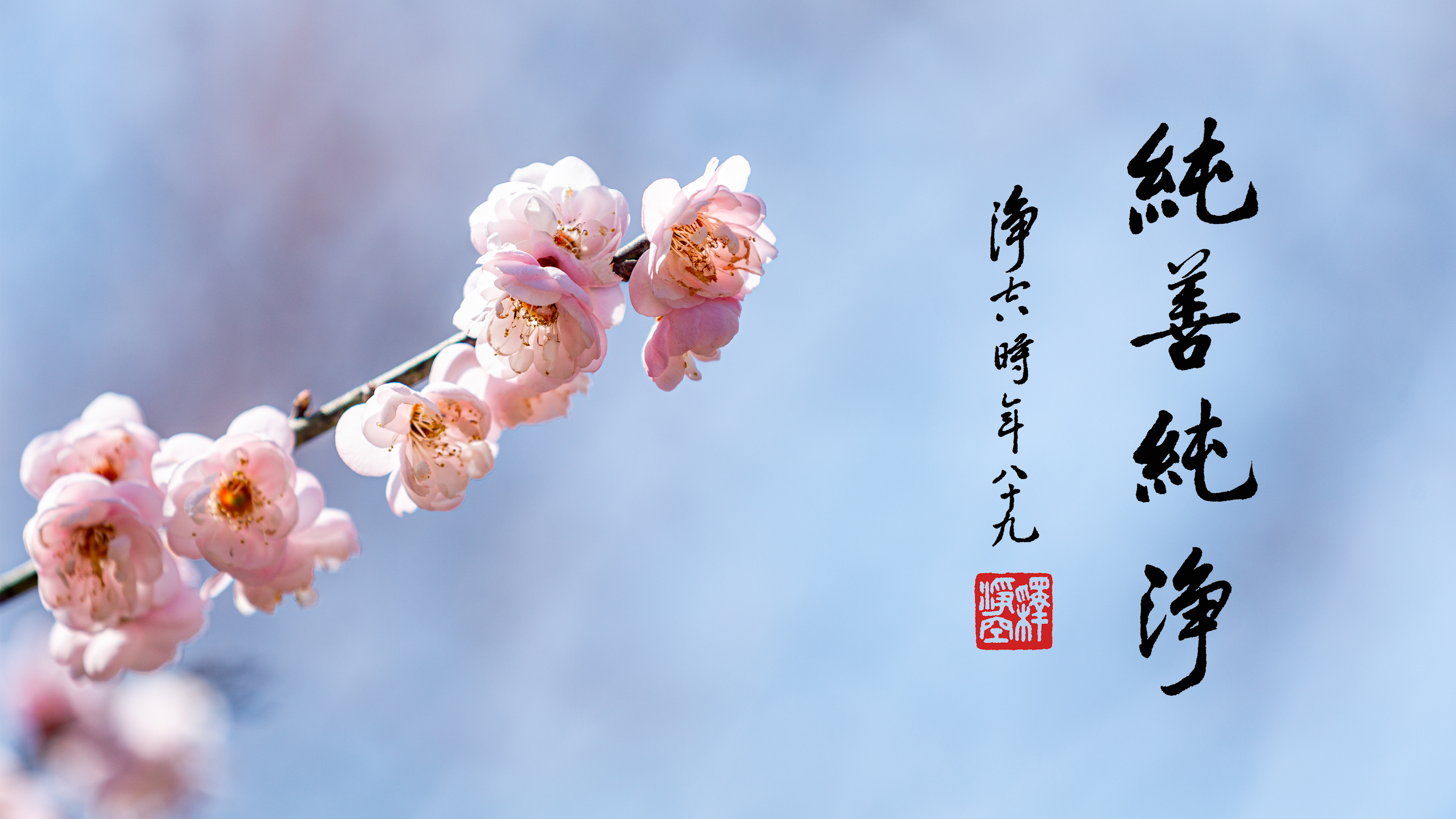 MB105_純善純淨_橫圖