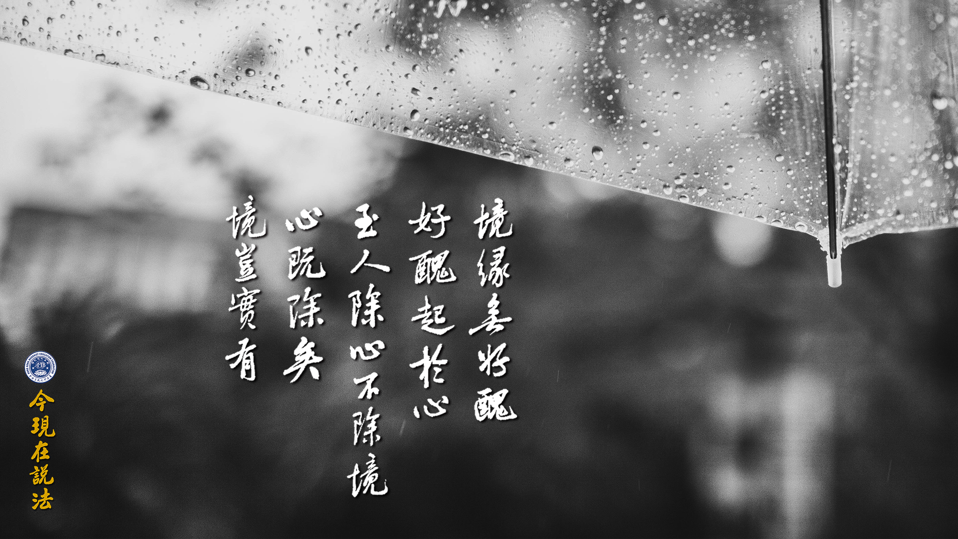 如何在境緣中去除貪瞋痴？