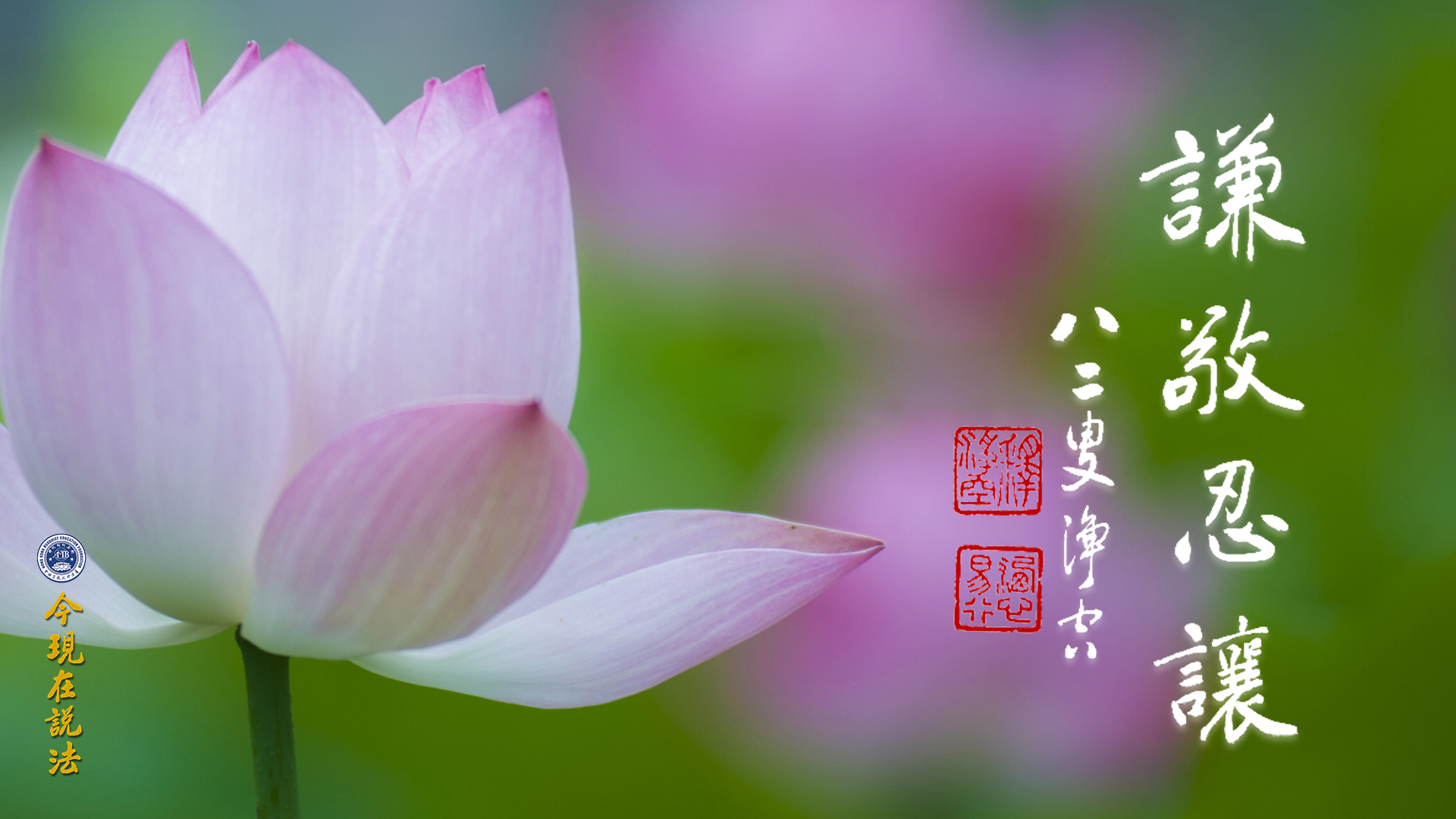 “爭”帶來痛苦，“讓”解決問題