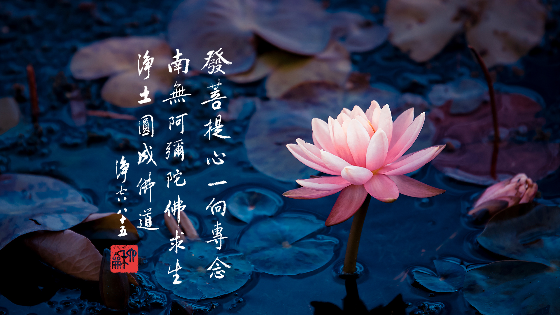 信願持名一向專念的人智慧福報不可思議